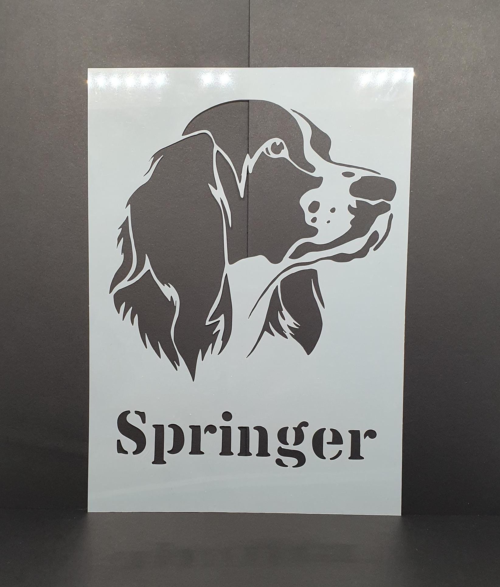 Springer Stencil