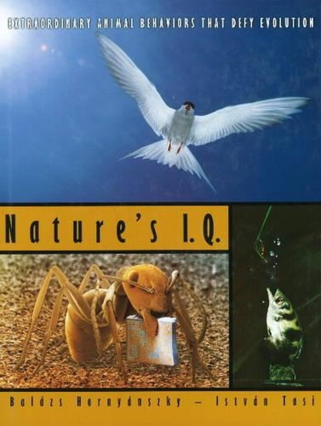 Nature's I.Q. : Extraordinary Animal Behaviors that Defy Evolution