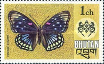 1975   1  ch   mnh
