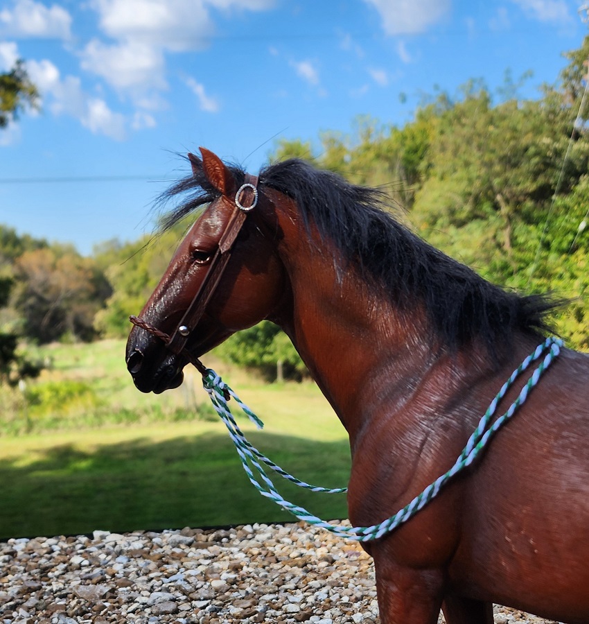 Bosal bridle # 2