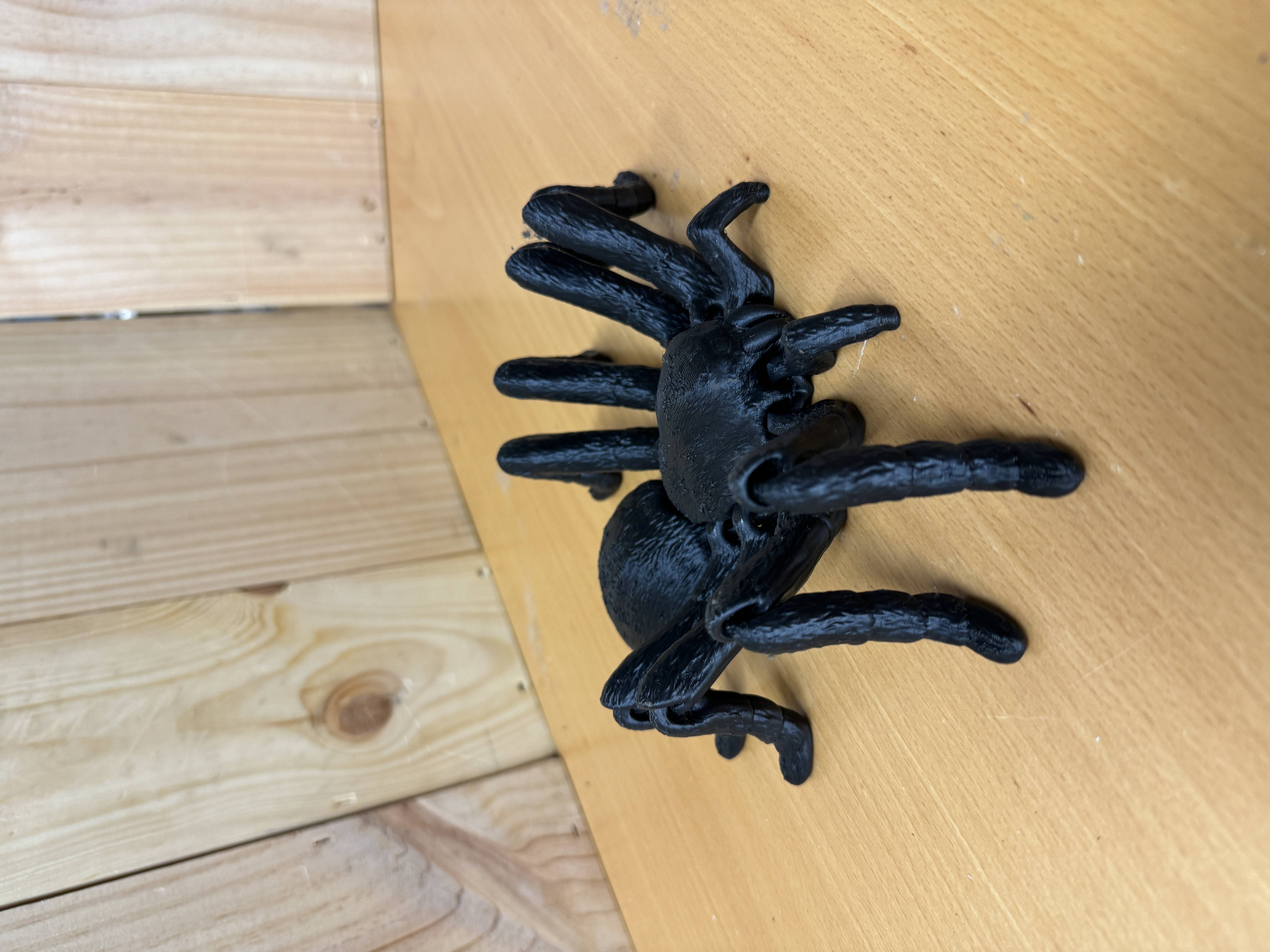 Tarantula með liðamótum