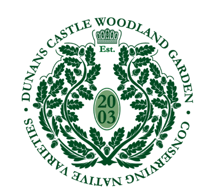 Plant a tree in Dunans Castle Native Woodland