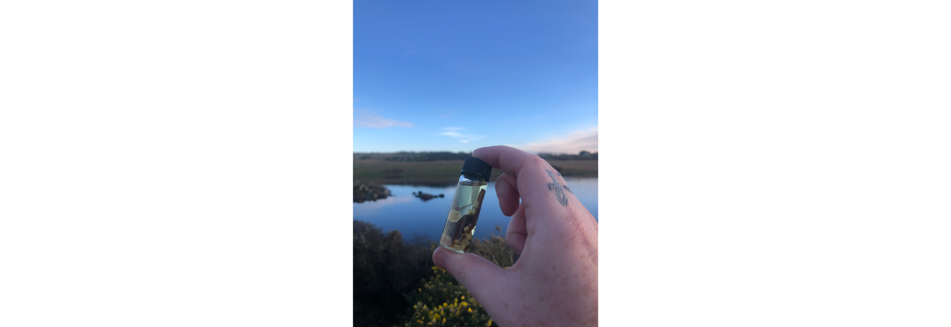 High John the Conqueror Oil (10ml)