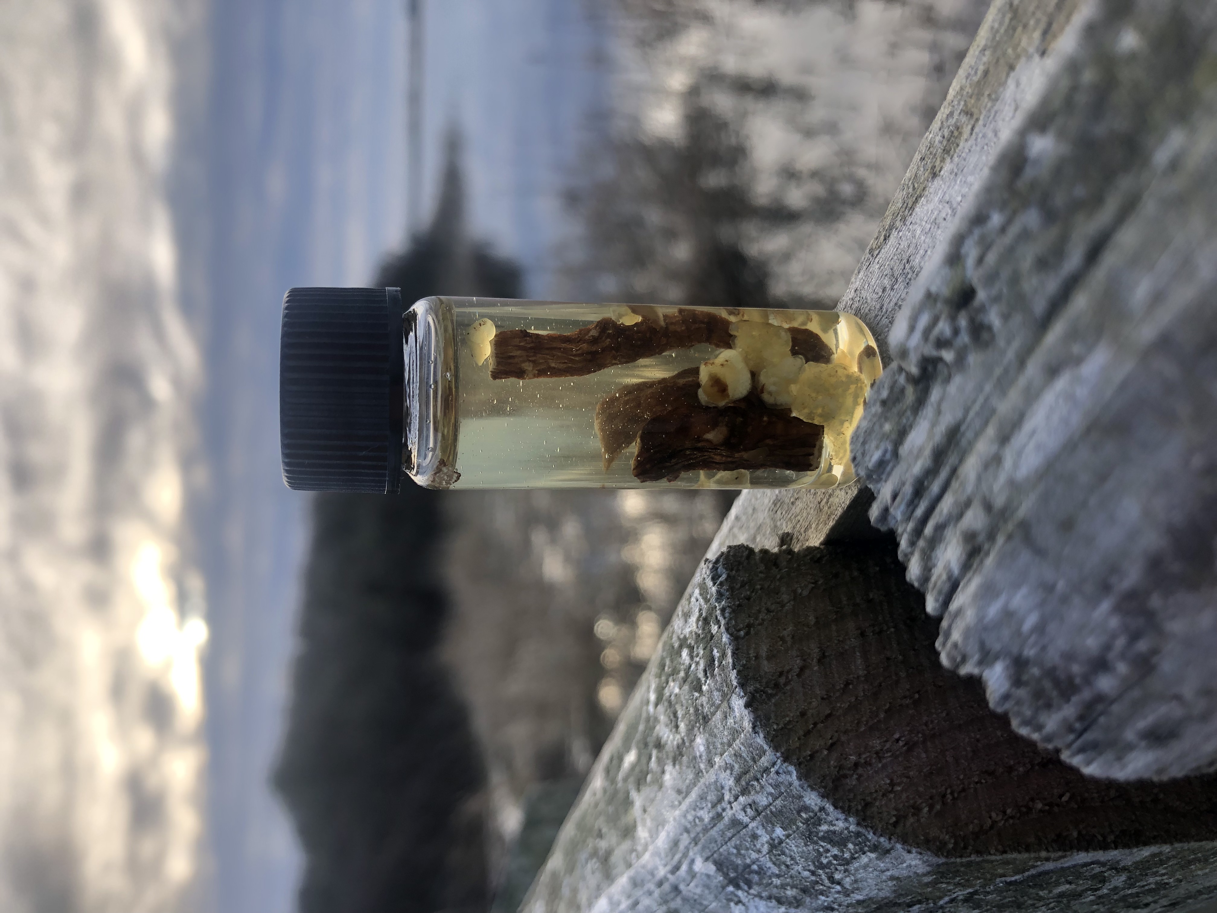 Defence Oil (Powerful)