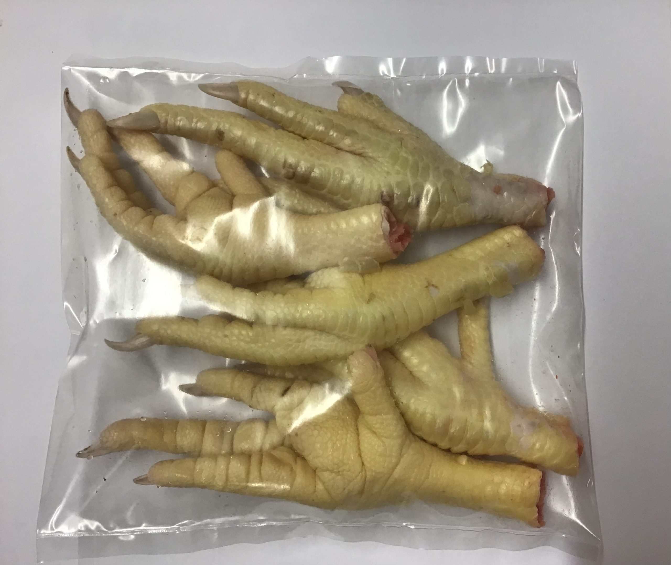 Chicken Foot Talisman (Protection)