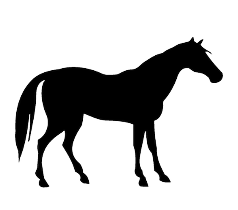 Horse v3