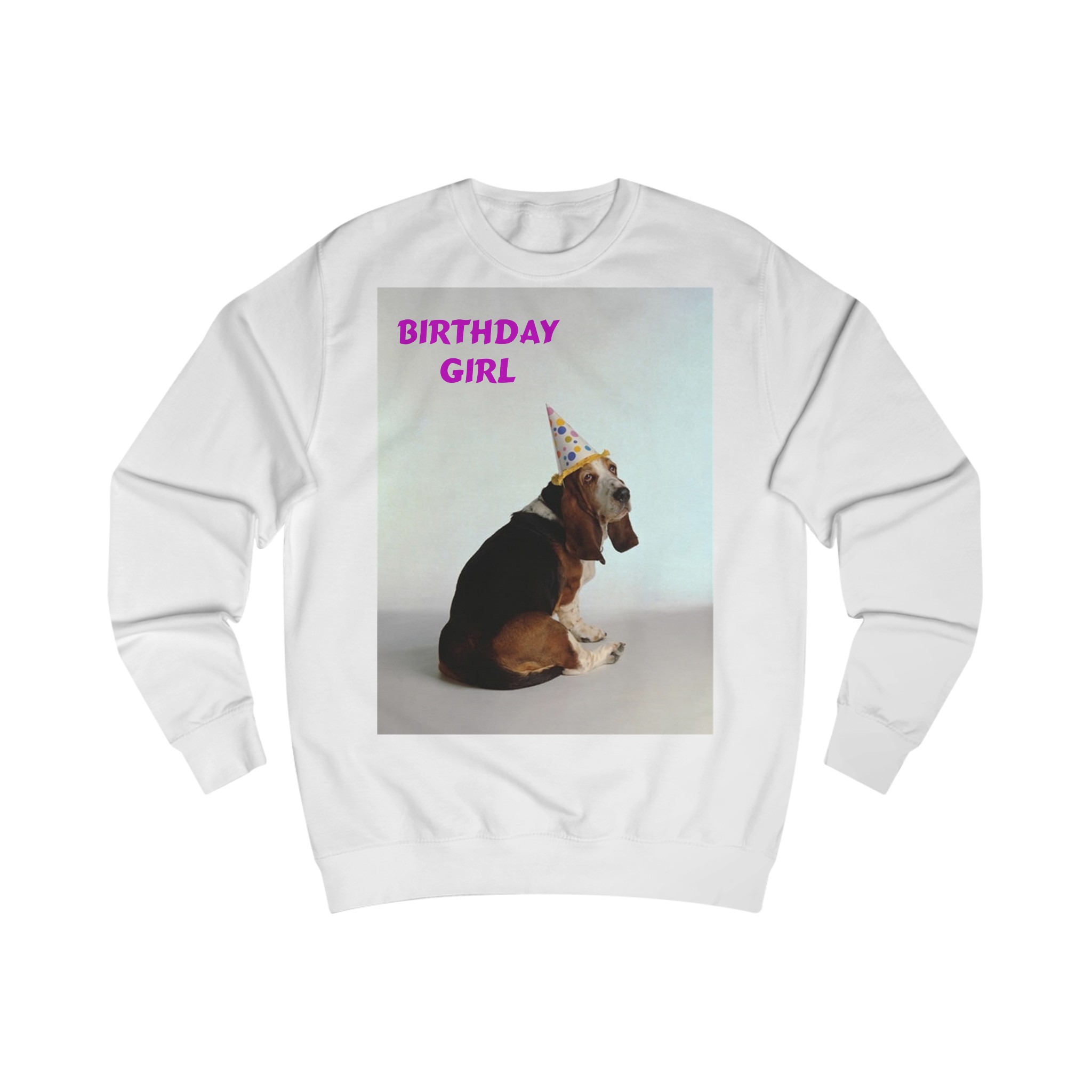 Birthday Girl Basset Dog Sweatshirt Birthday Girl Basset Dog Sweatshirt