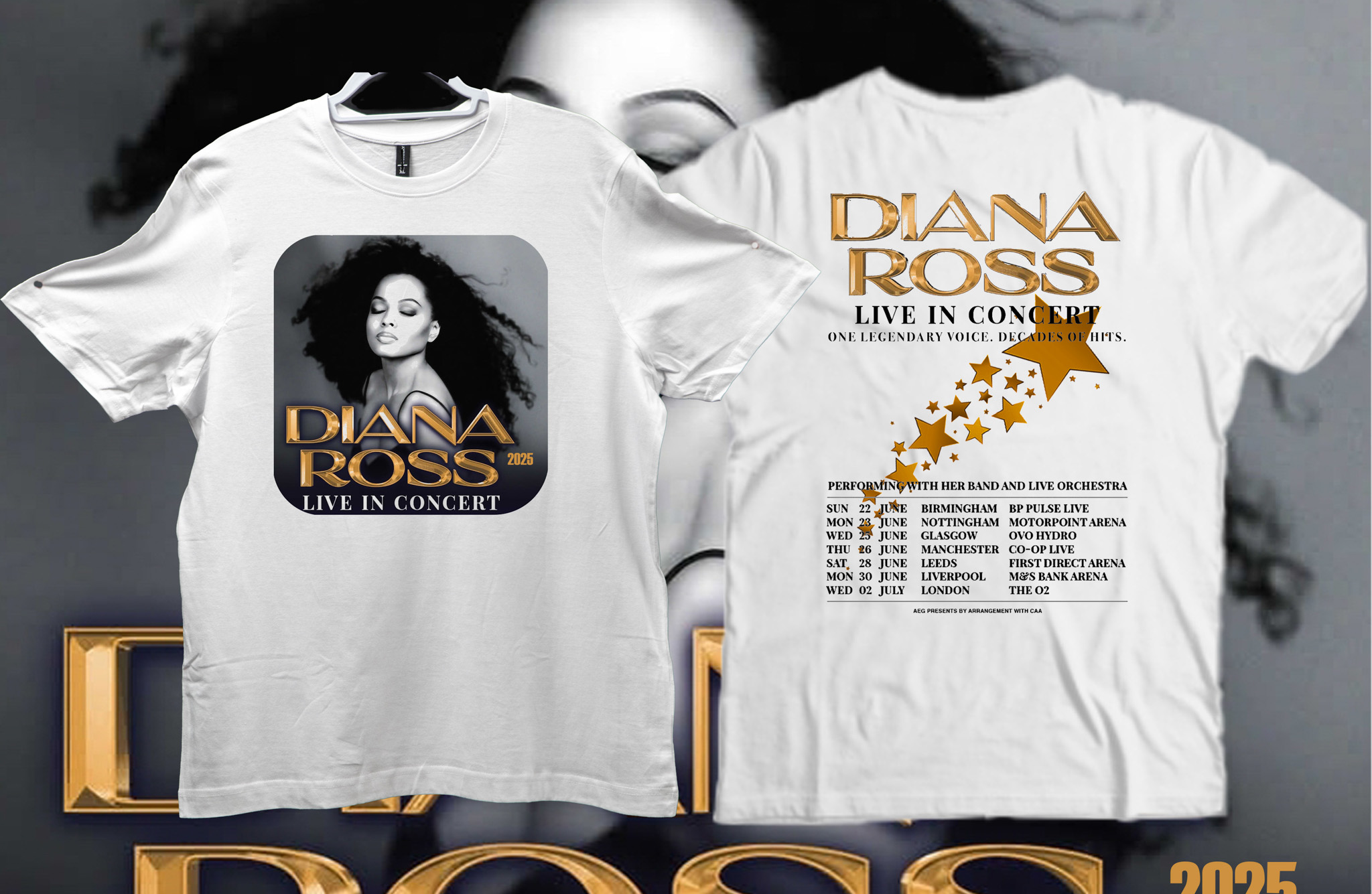 Diana Ross Live In Concert 25