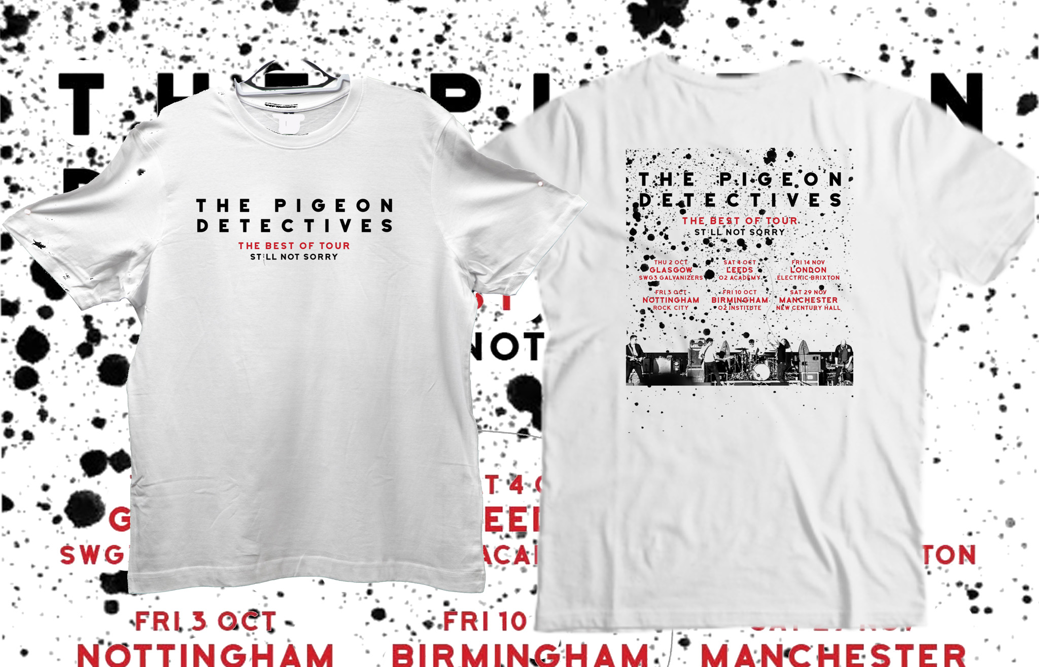 The Pigeon Detectives Tour