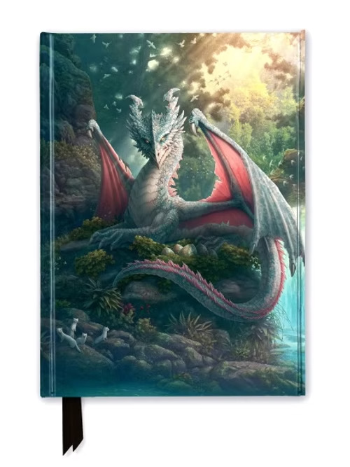 Journal / Notebook by Kerem Beyit