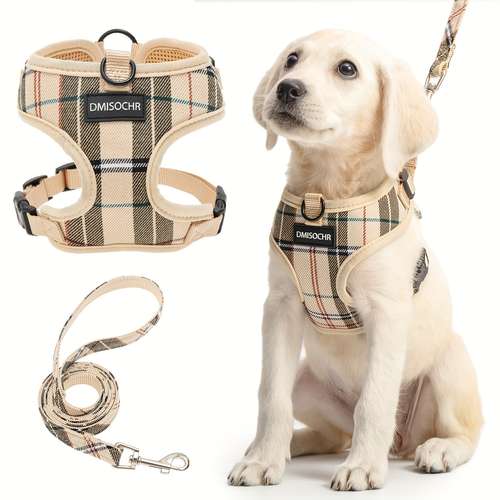 Chequred dog harness an lead for small dog or puppy
