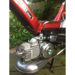 img_5364.jpg img_5364.jpg