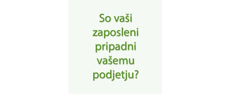 Moja vloga, naše vrednote