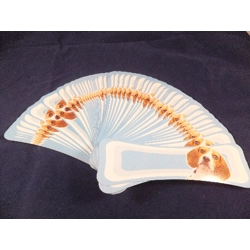 bone_shaped_playing_cards_fan.jpg