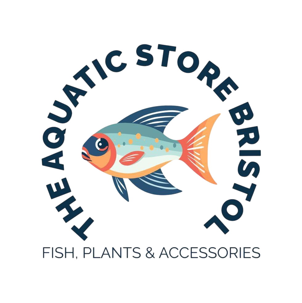 The Aquatic Store Bristol