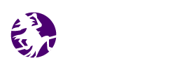 Witches Galore