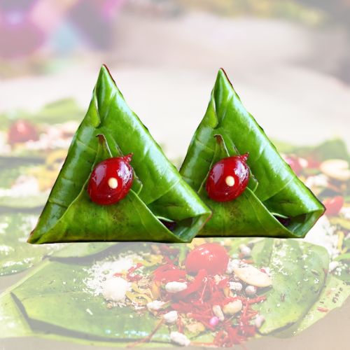 Paanlogy Special Paan