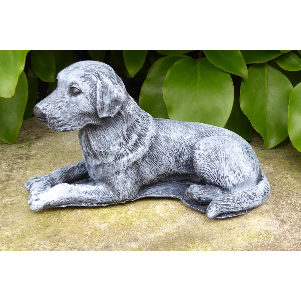 Handcrafted Dalmatian Labrador Dog Cast Stone Garden Ornament Garden Statue 19cm
