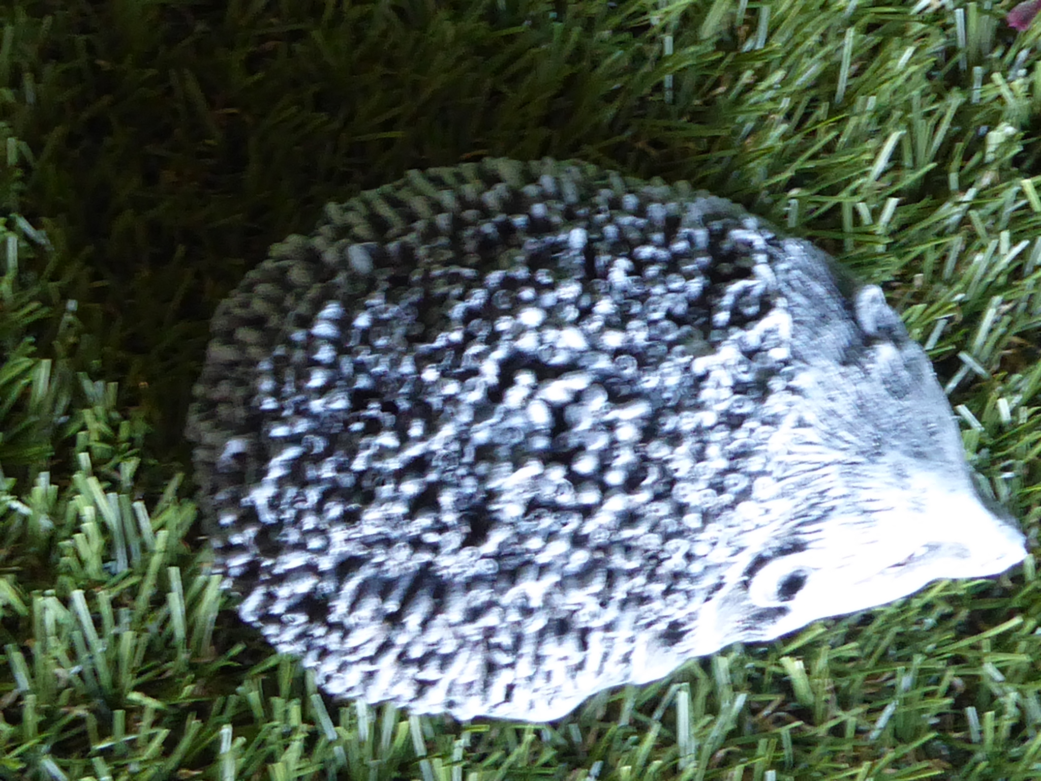 Adorable Baby Hedgehog Cast Stone Garden Ornament Hand Crafted Aged Effect 9½cm