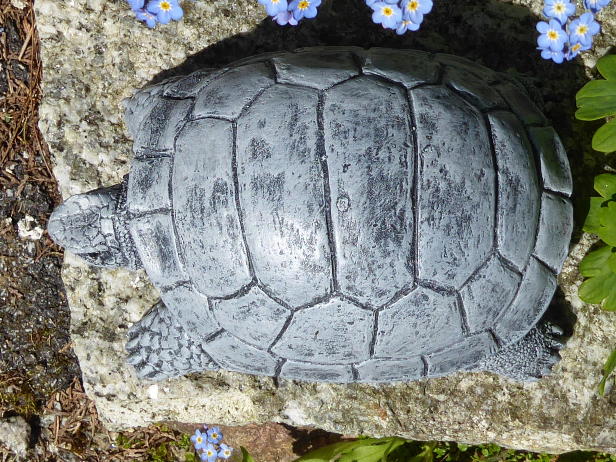 Tortoise Garden Ornament Highly Detailed Handcrafted Cast Stone 18cm long