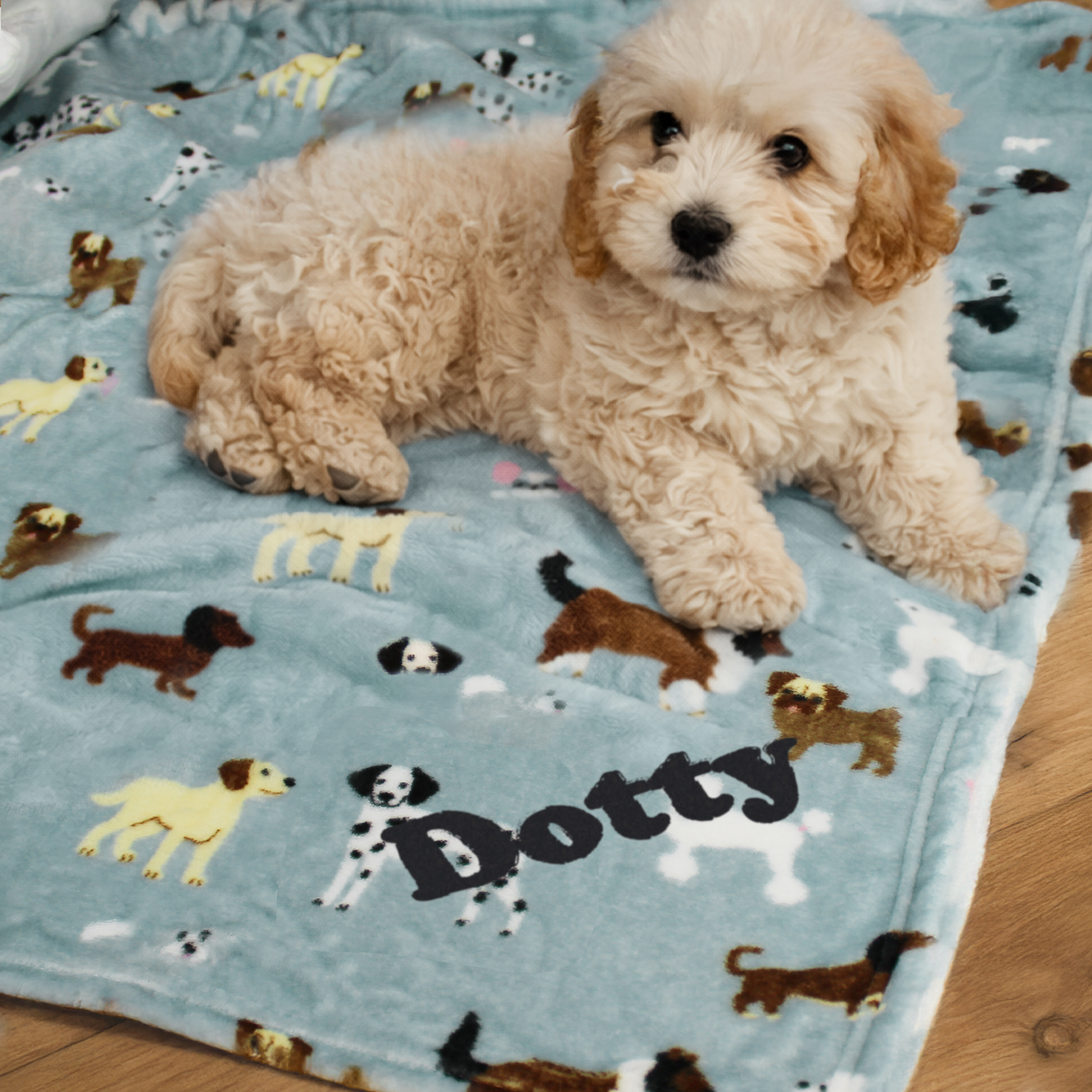 Personalised Dog Paw Print Fleece Blanket with Name 90 x 70 cm