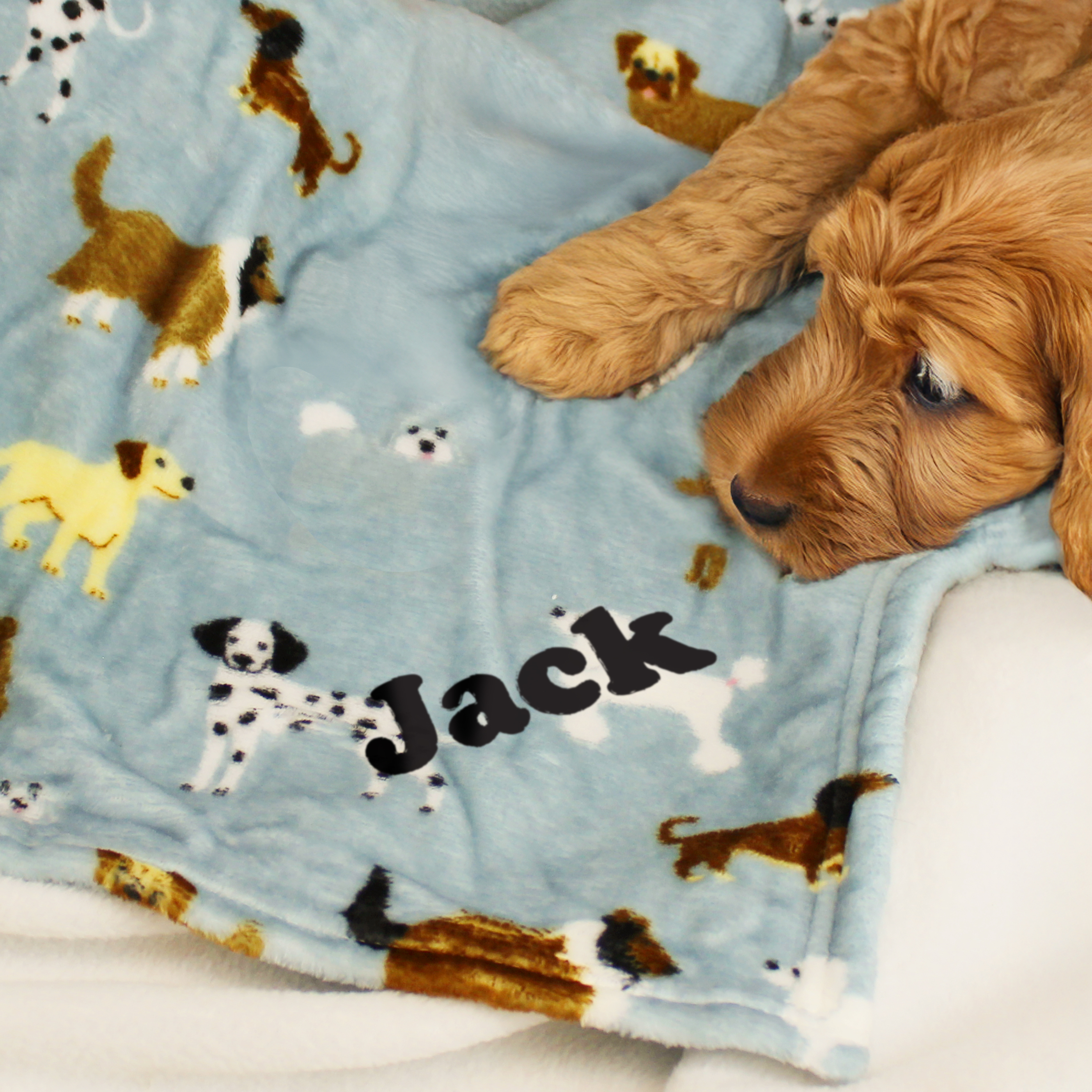 Personalised Dog Paw Print Fleece Blanket with Name 90 x 70 cm