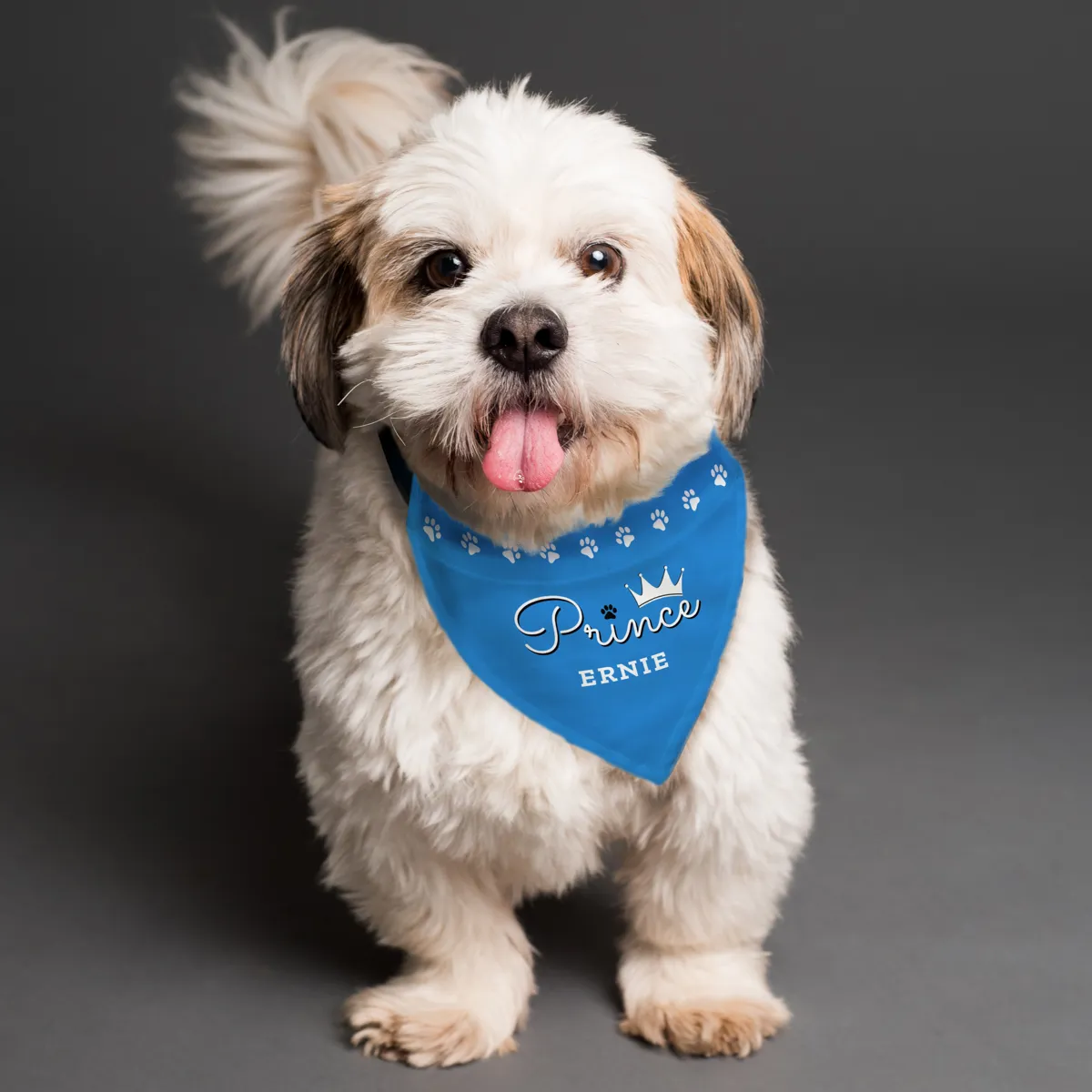 Personalised Prince Dog Bandana Small Medium Dogs