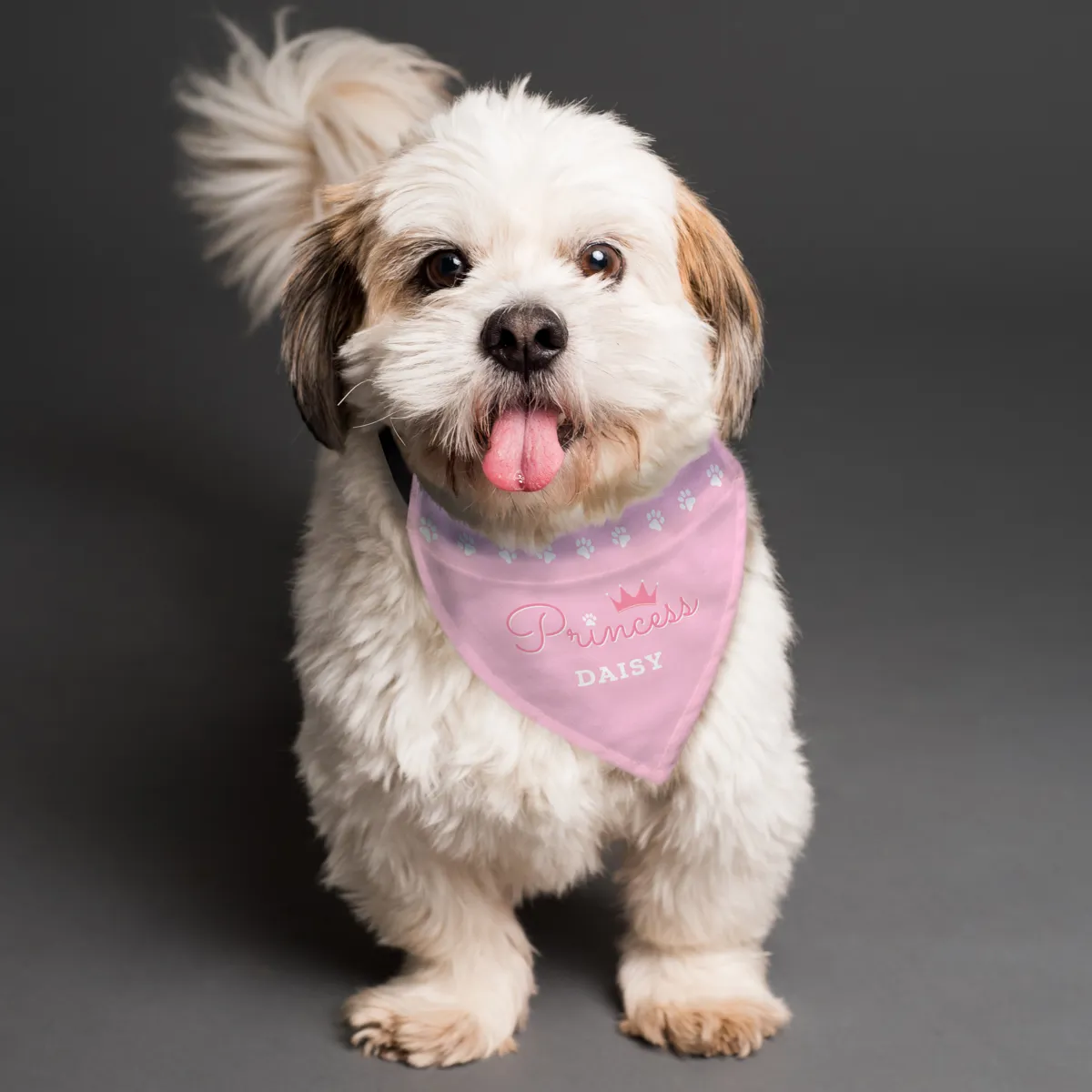Personalised Princess Dog Bandana with Name Small Medium Dogs