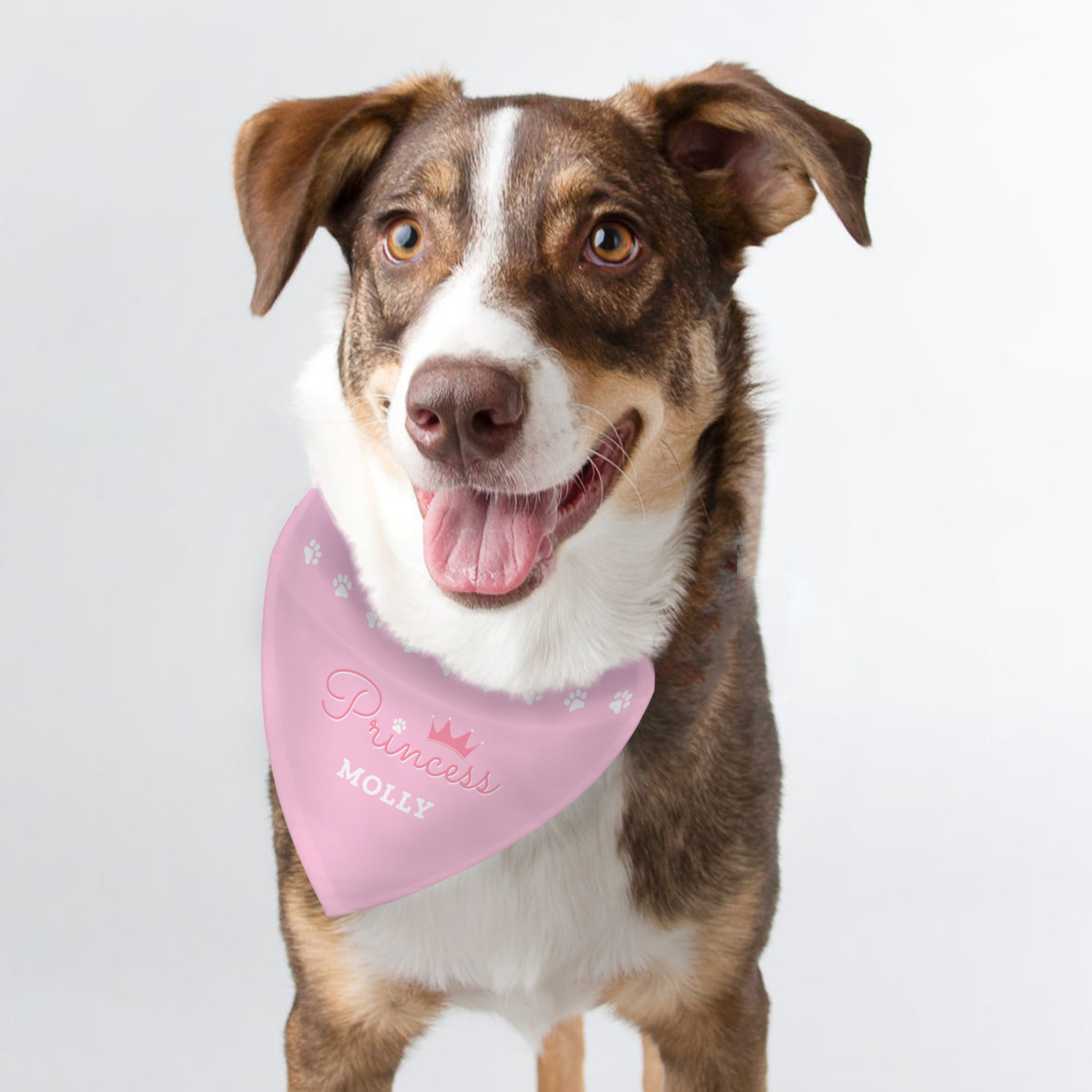 Personalised Princess Dog Bandana with Name Small Medium Dogs