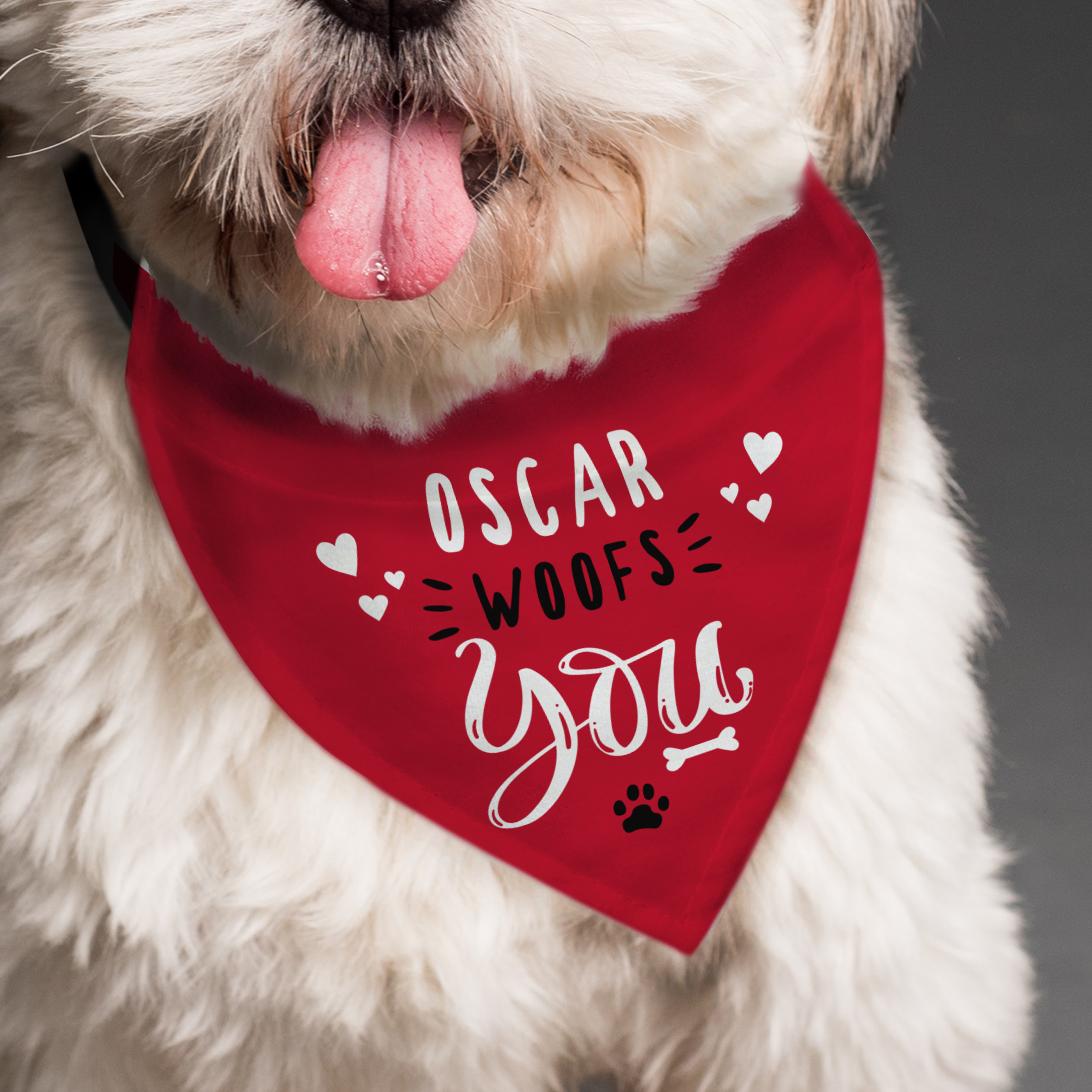 Personalised Dog Bandana with Name Woofs You Pet Neck Scarf