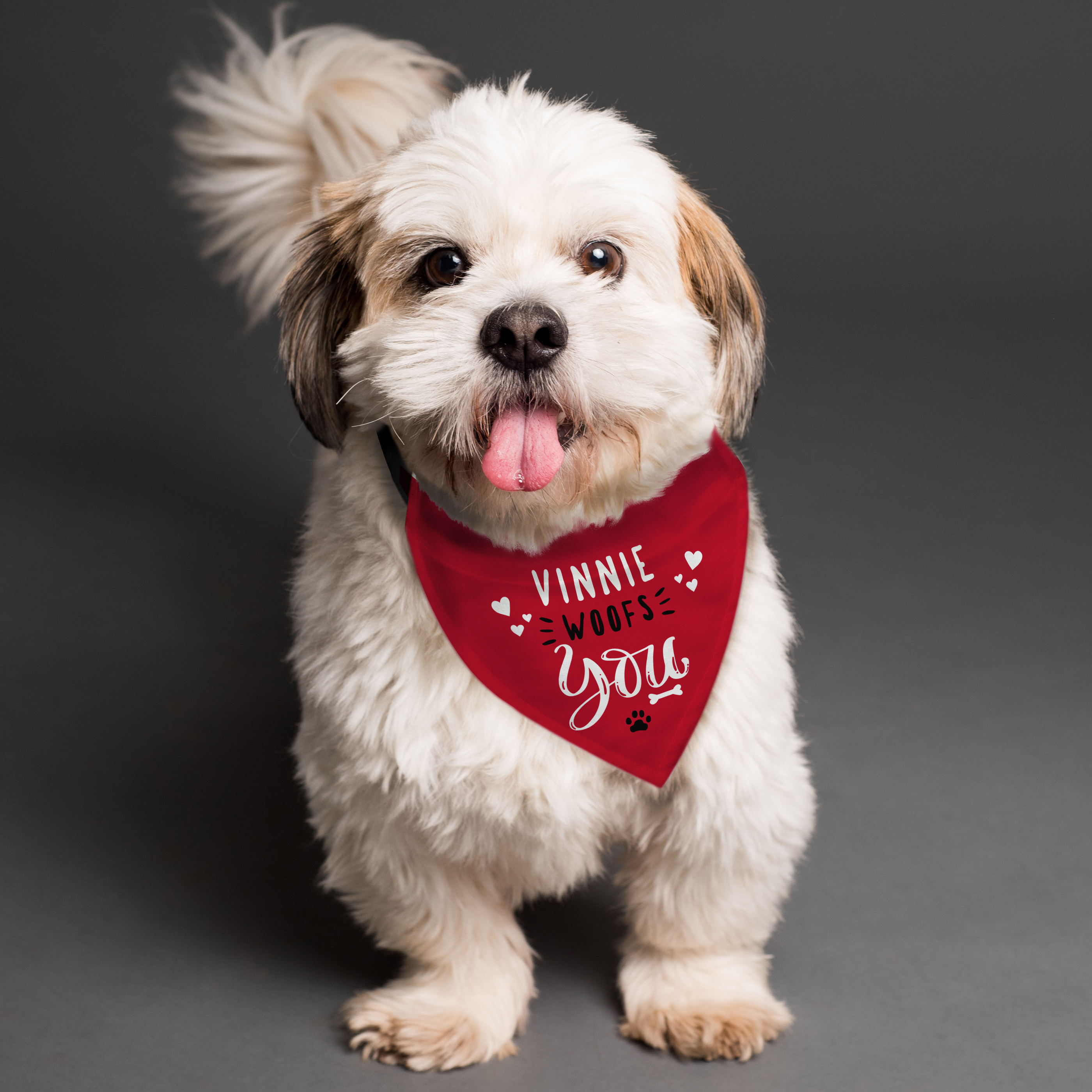 Personalised Dog Bandana with Name Woofs You Pet Neck Scarf