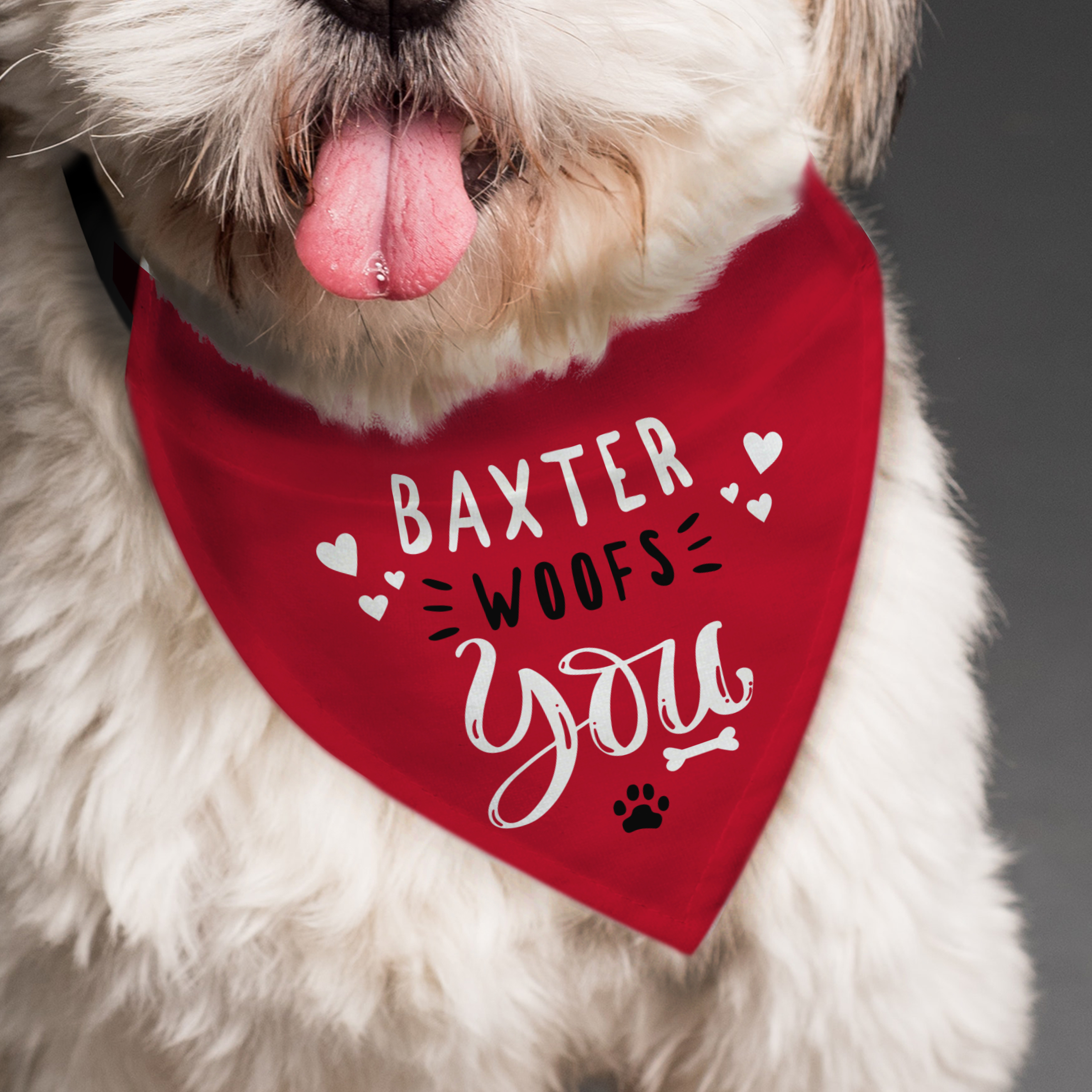 Personalised Dog Bandana with Name Woofs You Pet Neck Scarf
