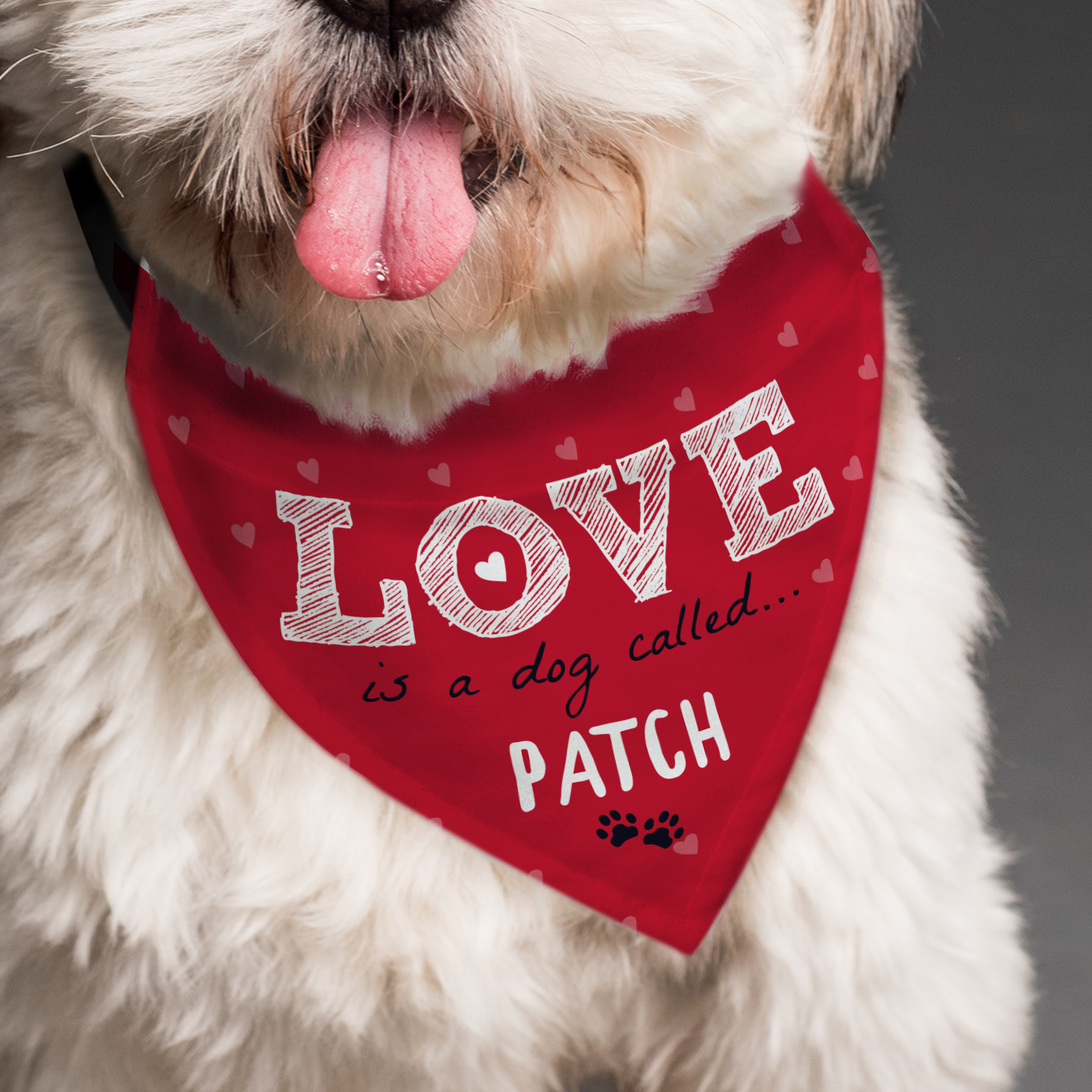 Personalised Dog Bandana Love Is a Dog Called...