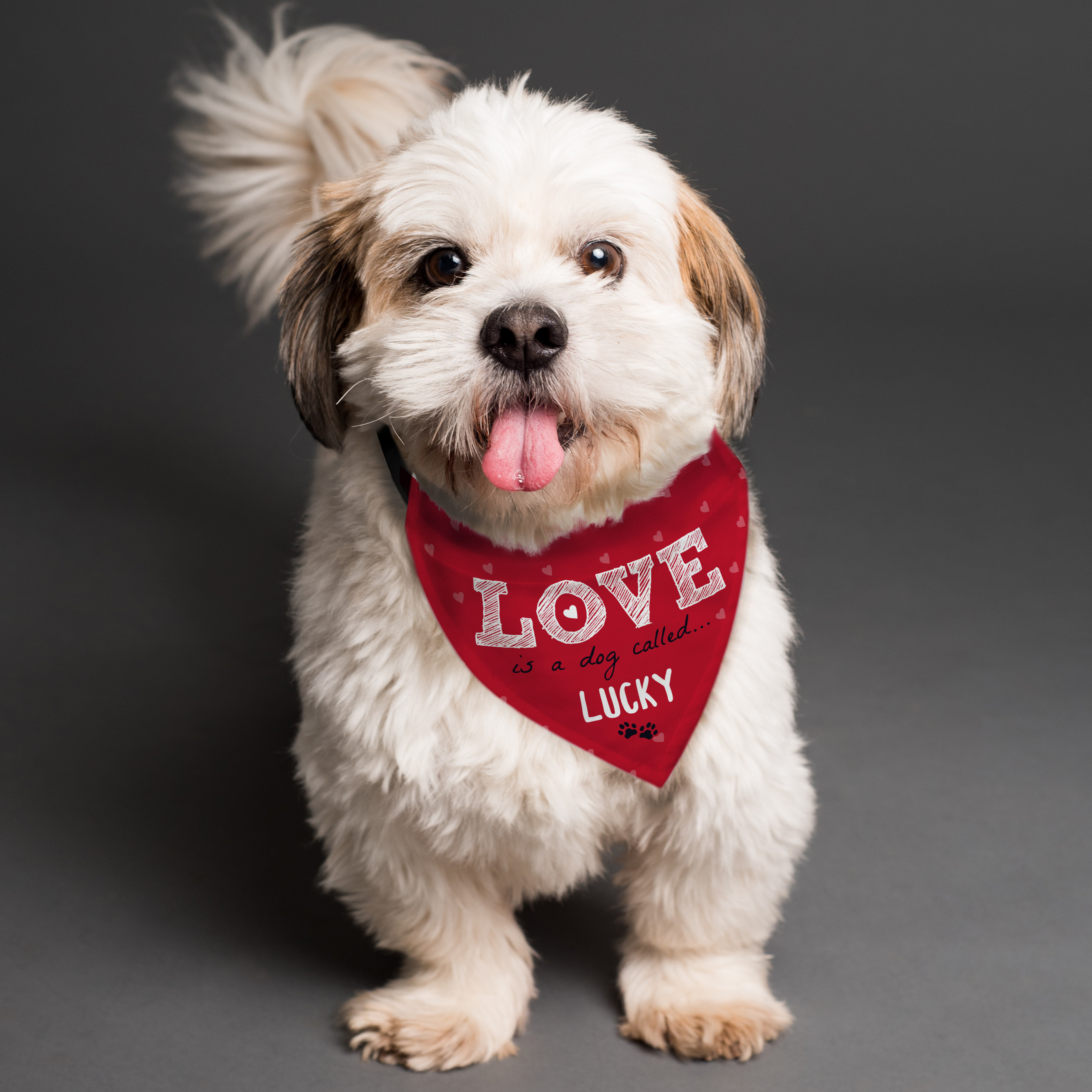 Personalised Dog Bandana Love Is a Dog Called...