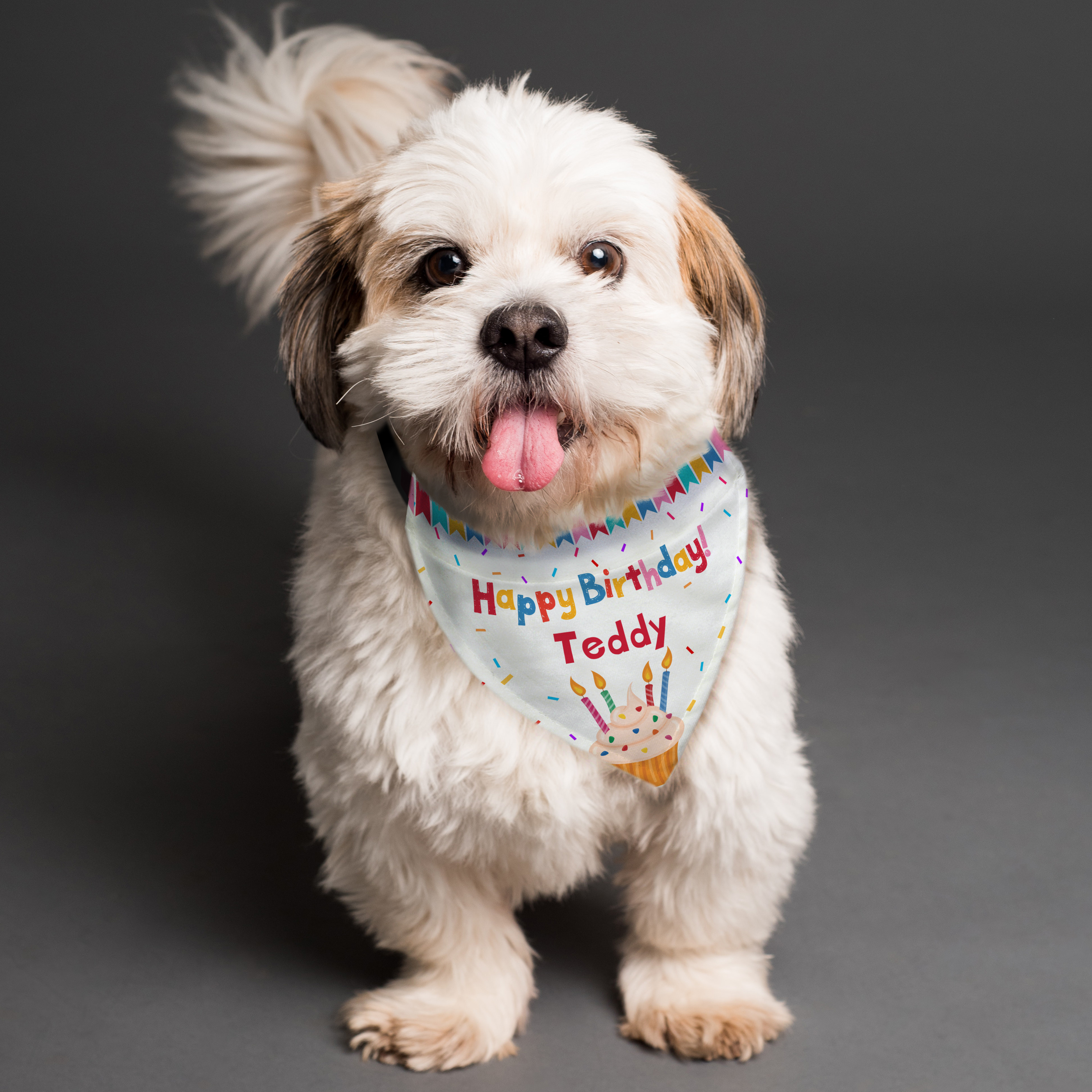Personalised Dog Birthday Bandana