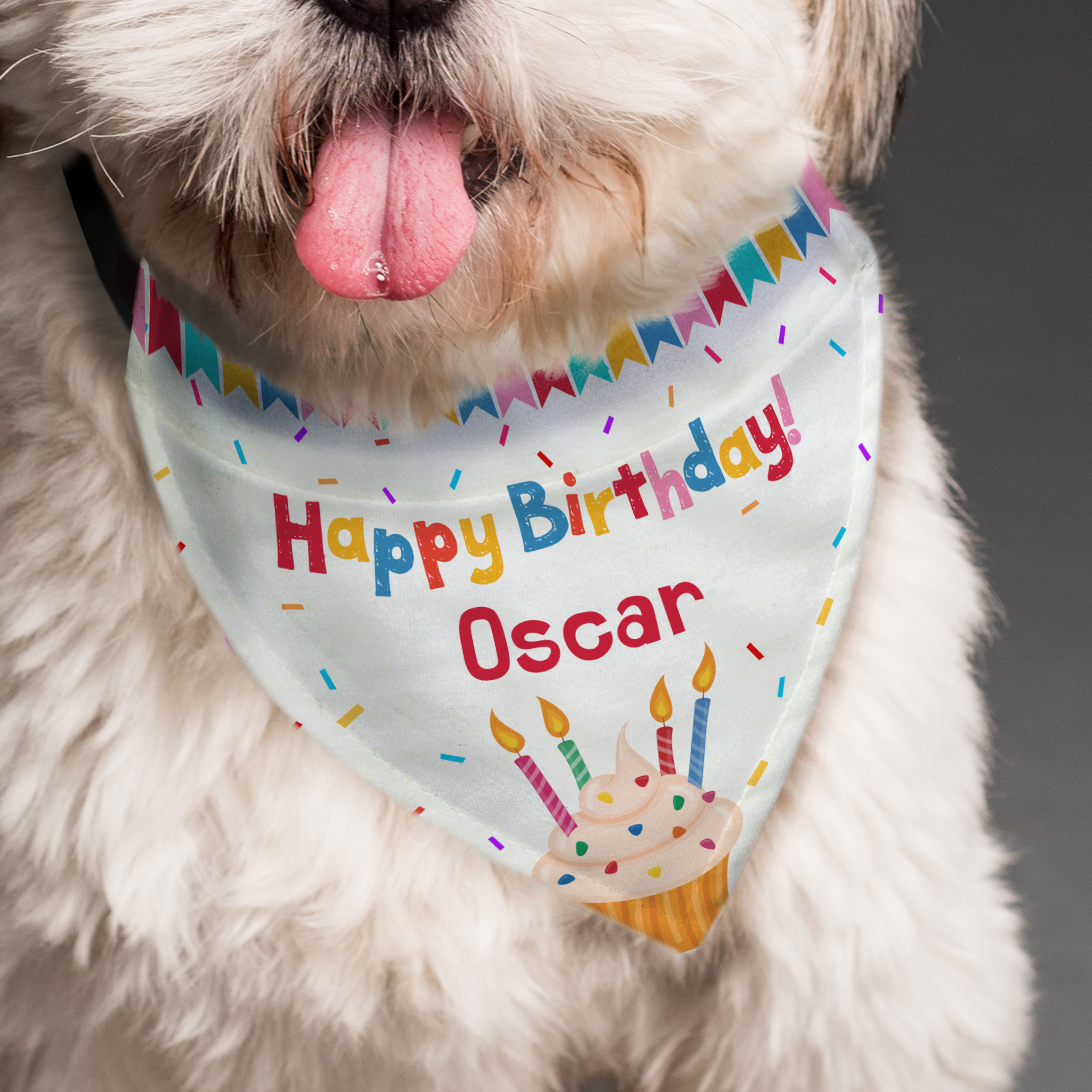 Personalised Dog Birthday Bandana