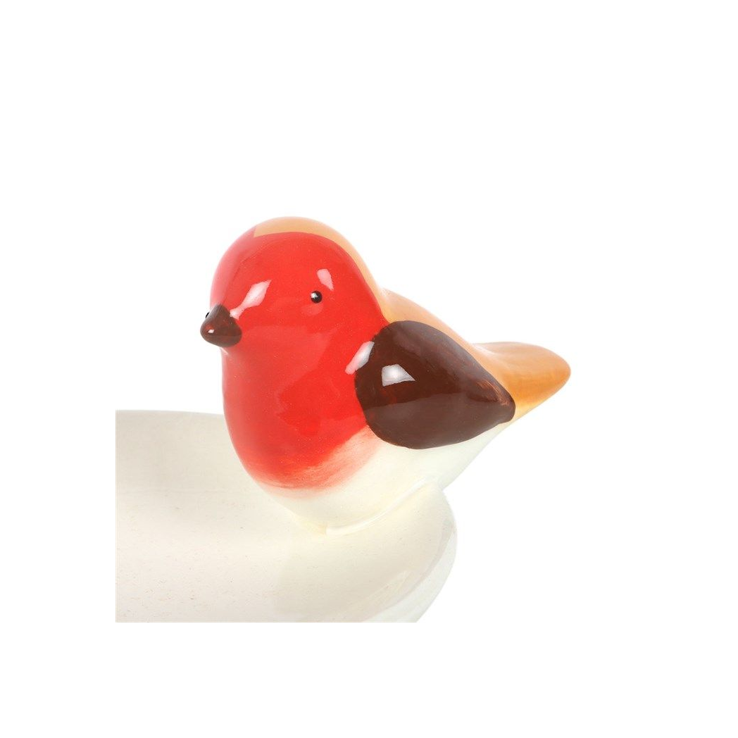 Robin Bird Bath Ceramic Trinket Dish