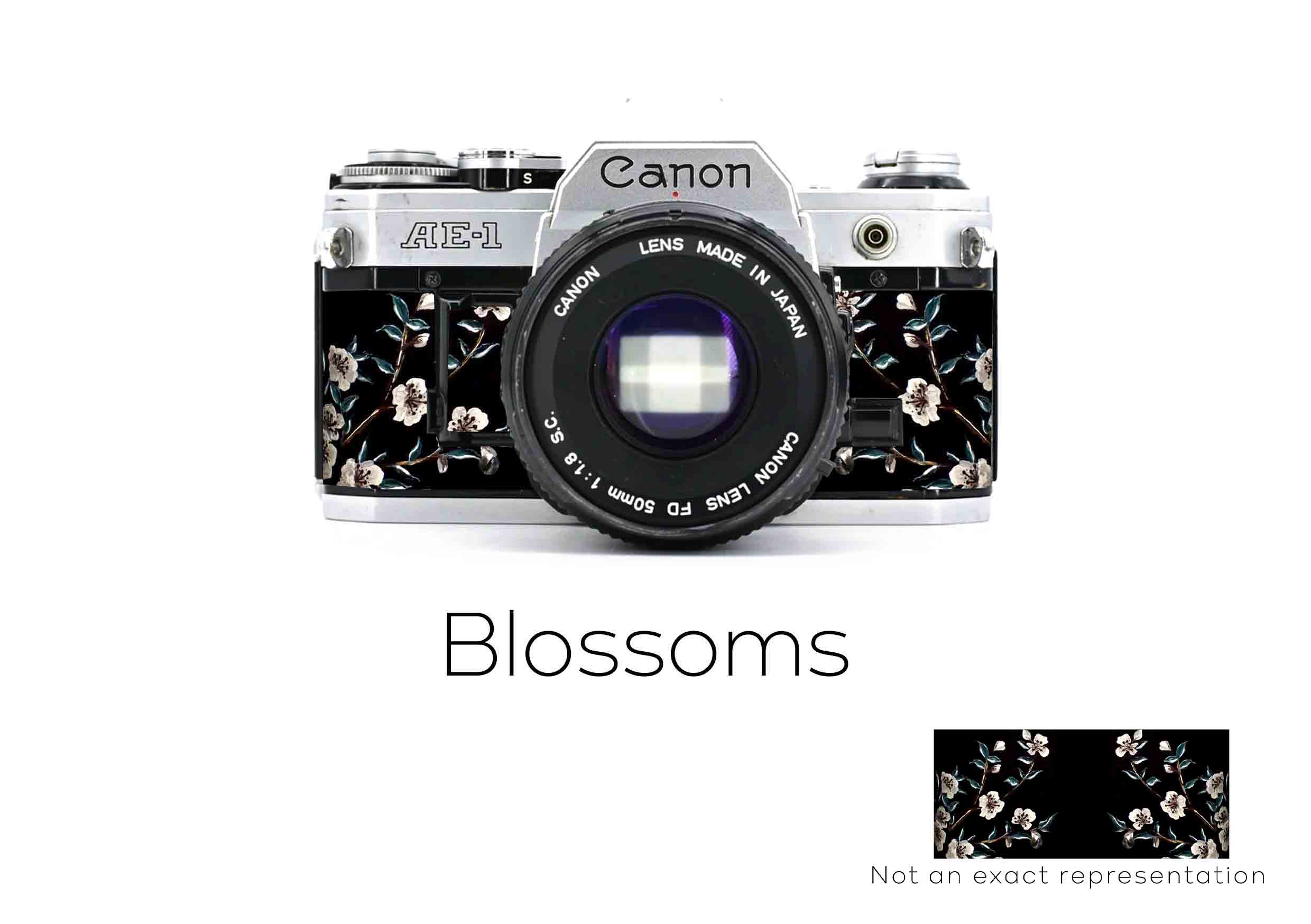 Canon AE-1 custom replacement leather hand painted