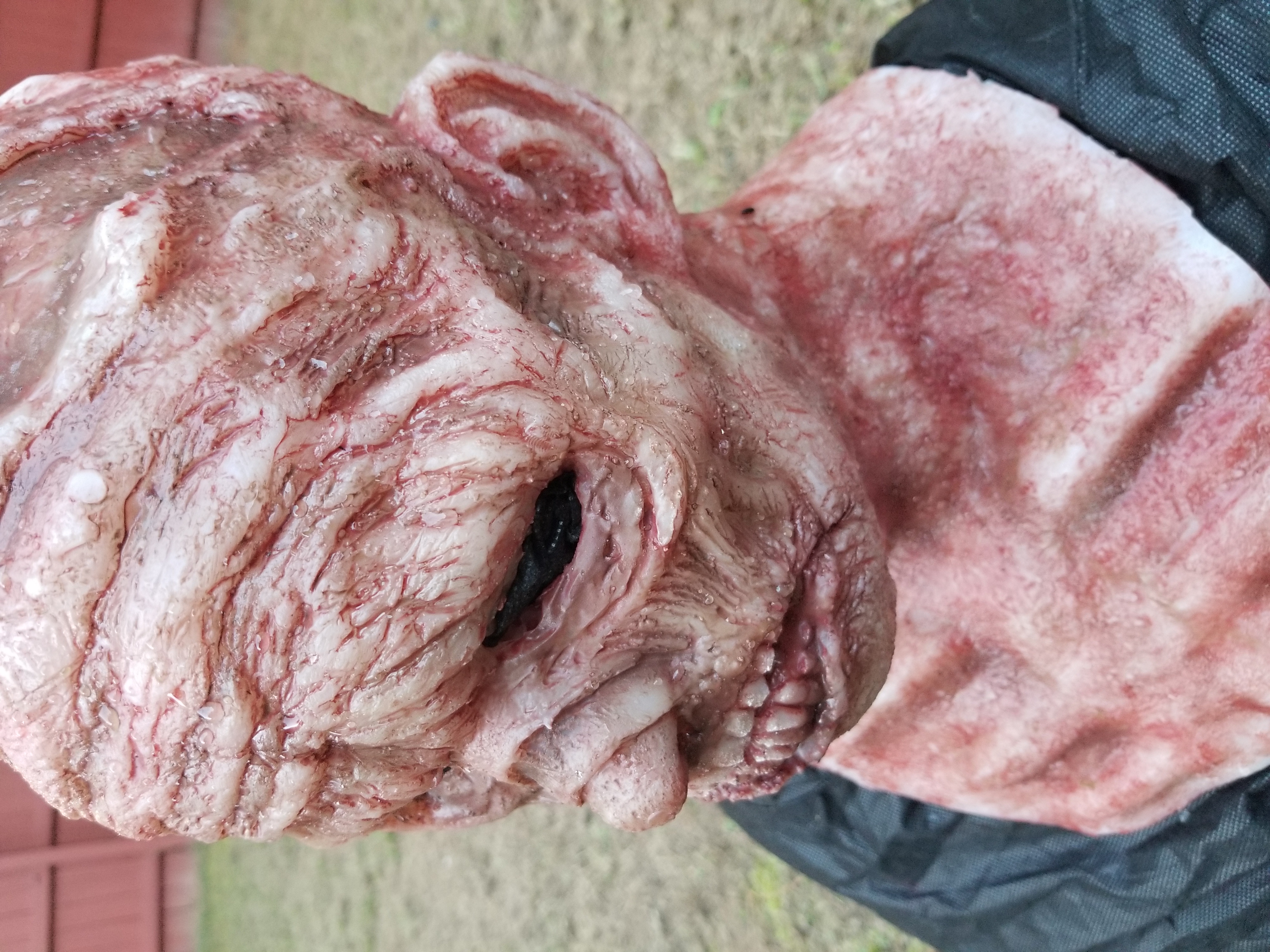 Zombie Silicone mask