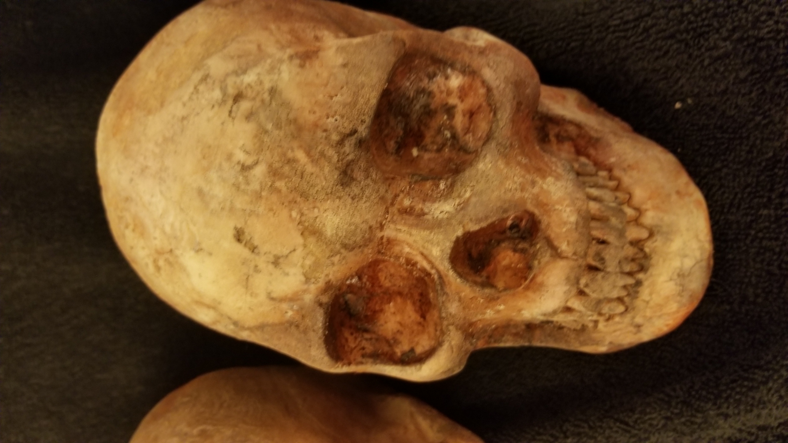 Lot of 5 skulls