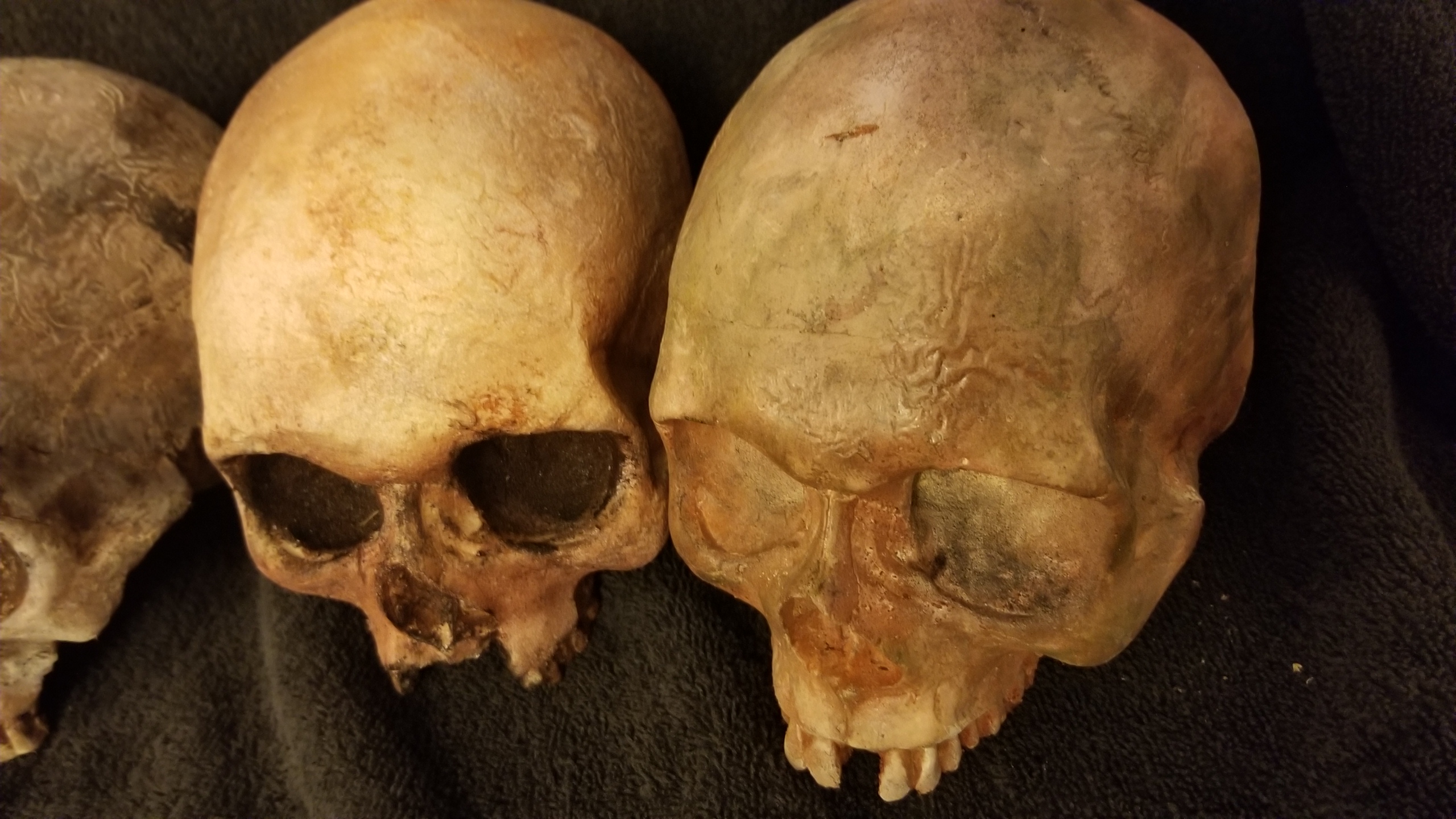Lot of 5 skulls