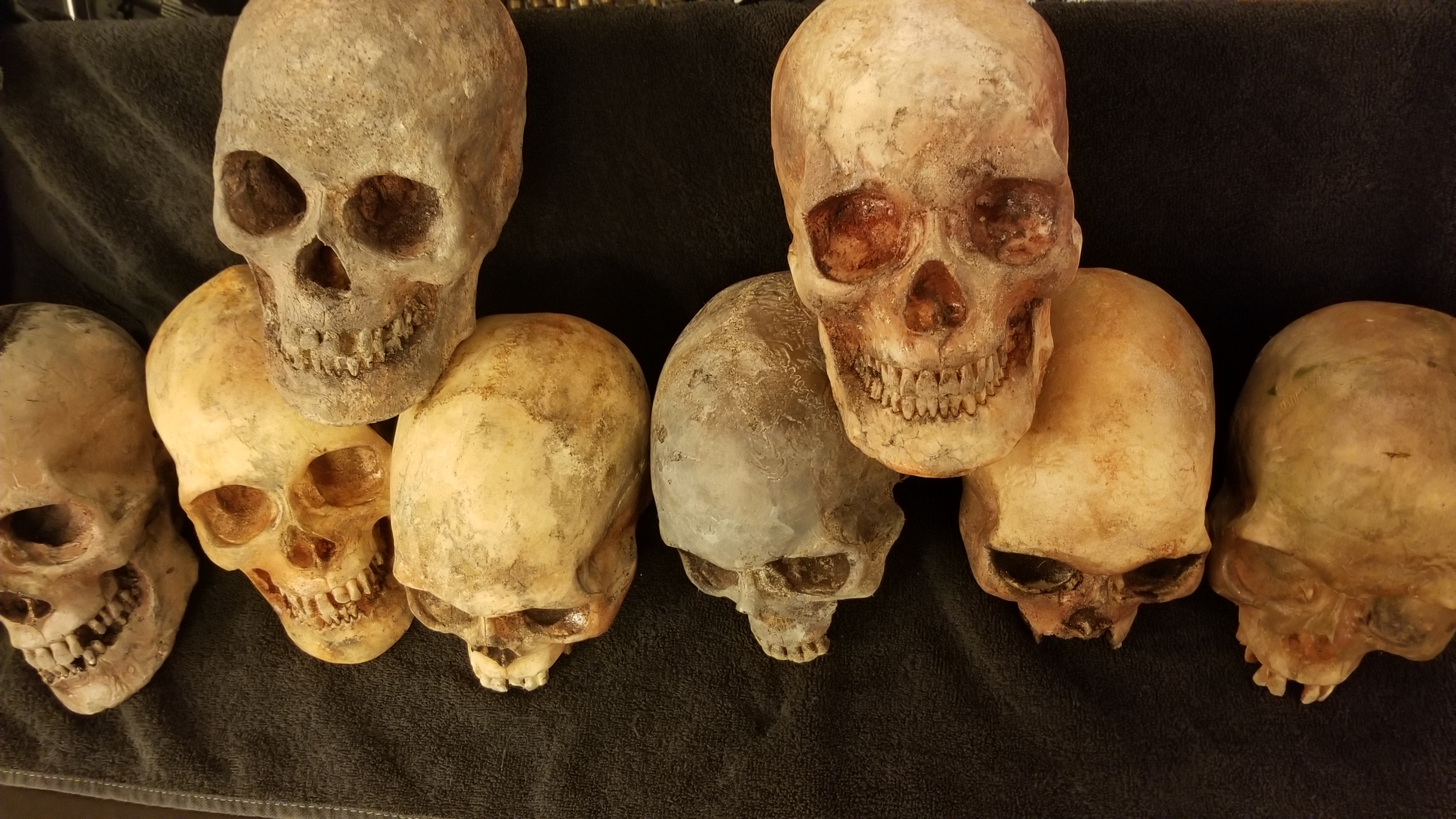 Lot of 5 skulls