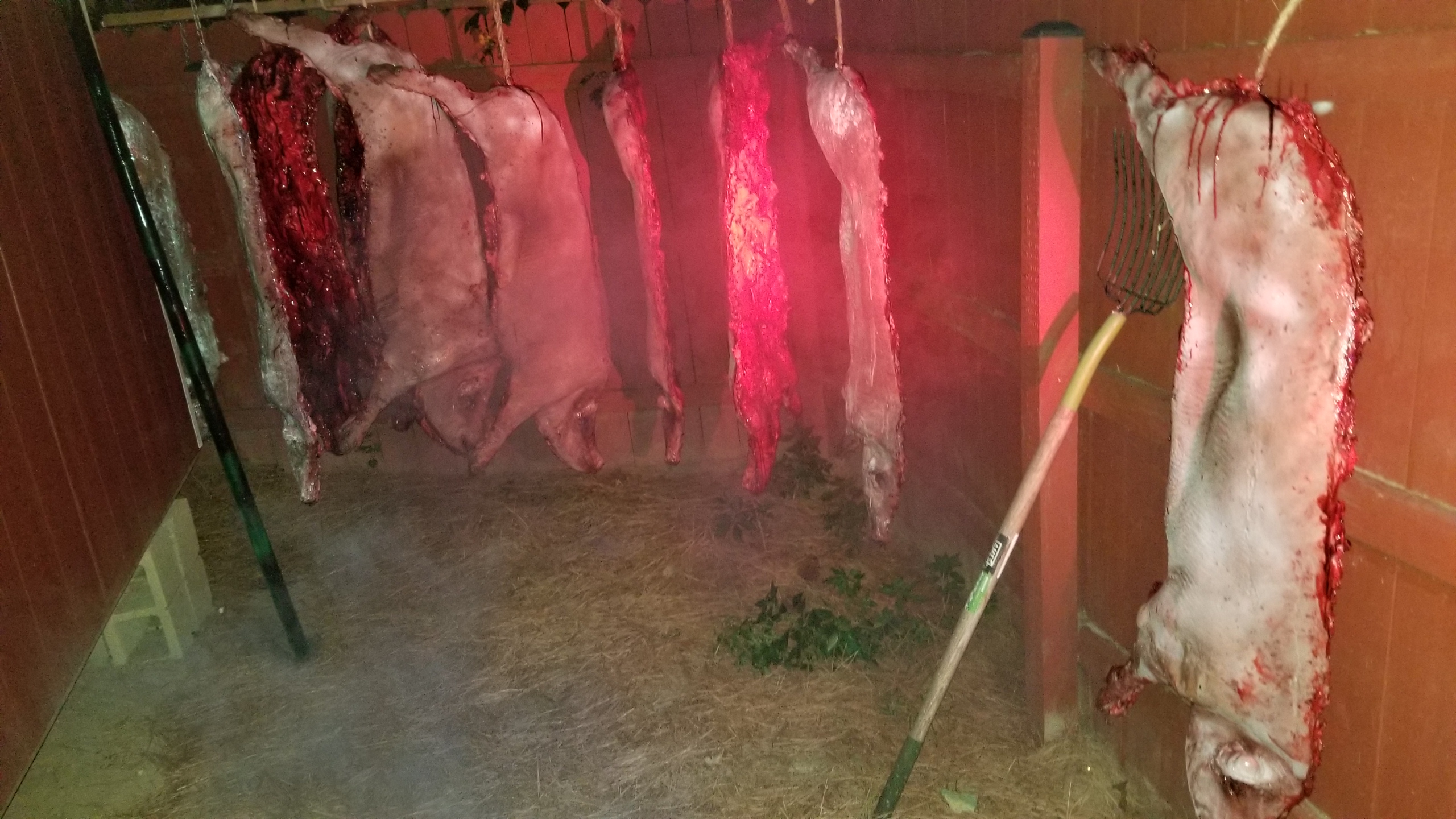 full size split in half Pig latex foam filled prop