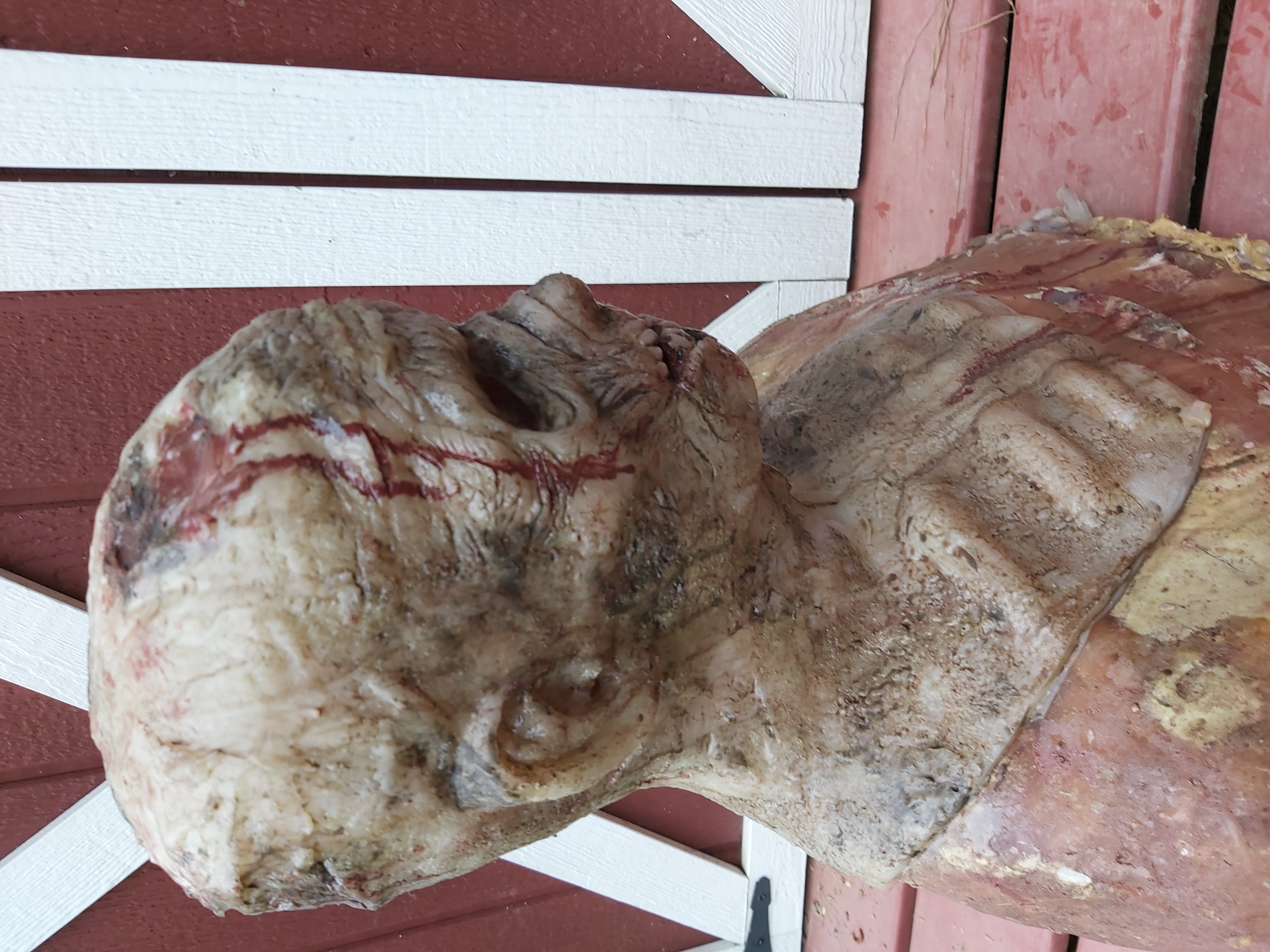 Zombie Silicone mask