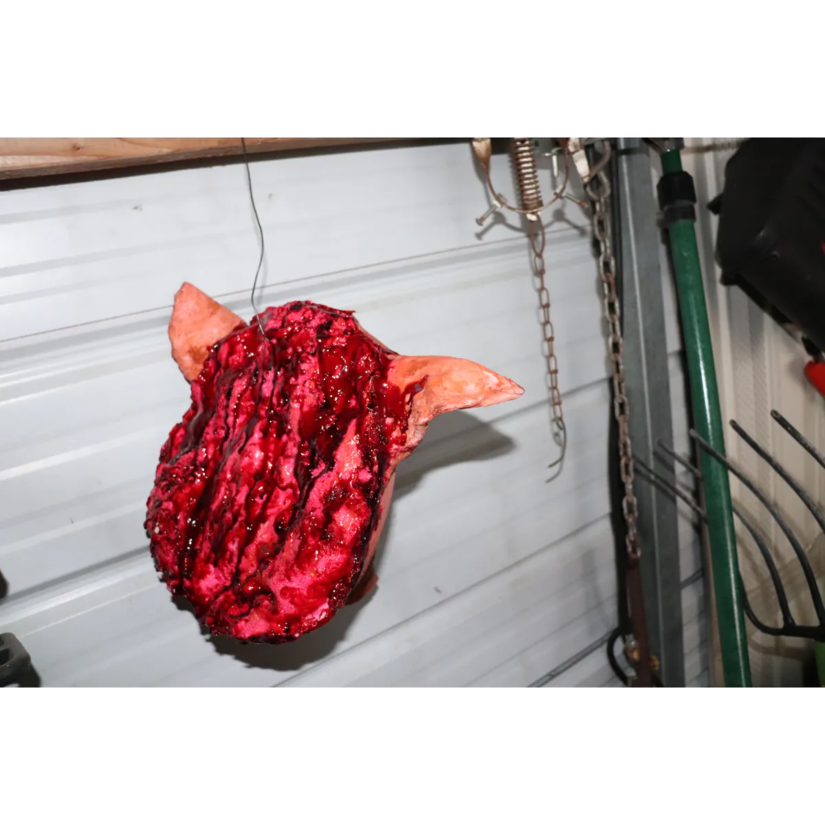 Pig head full size latex prop