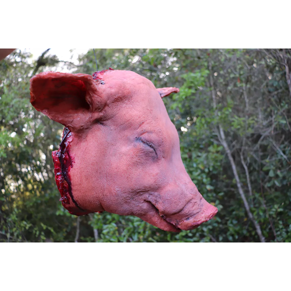 Pig head full size latex prop