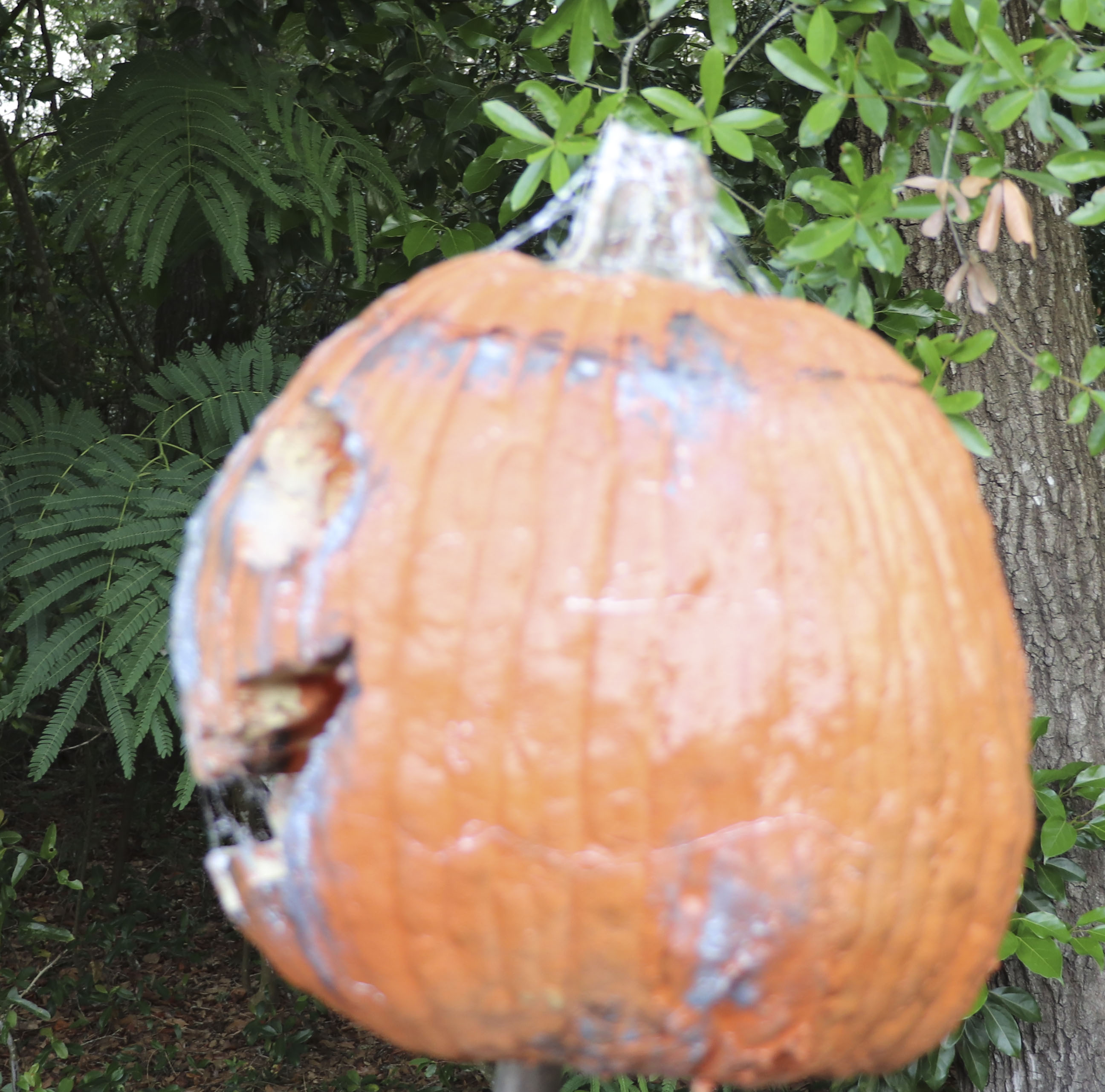 Jack O Lantern latex foam mask