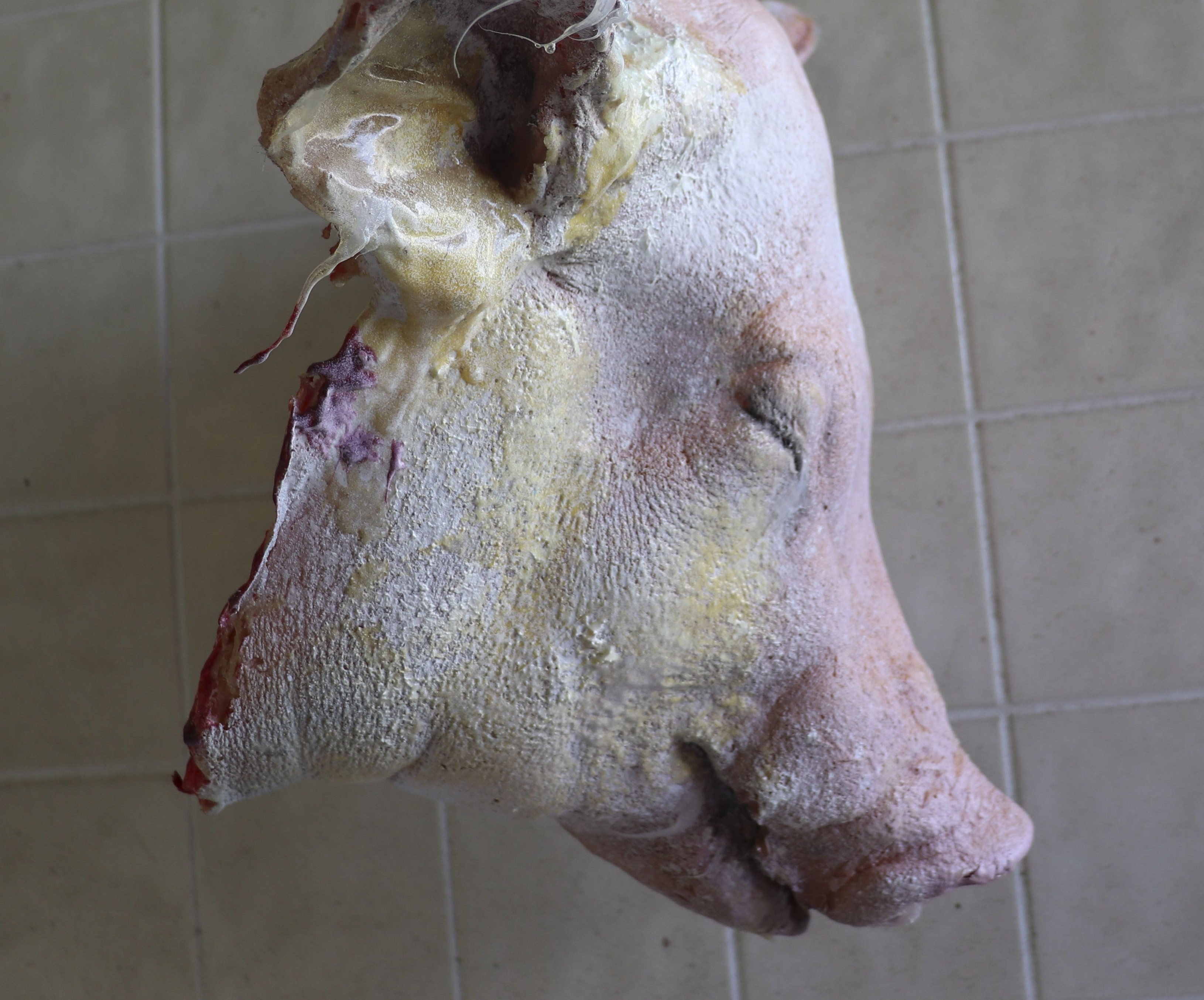 Pig head full size latex prop