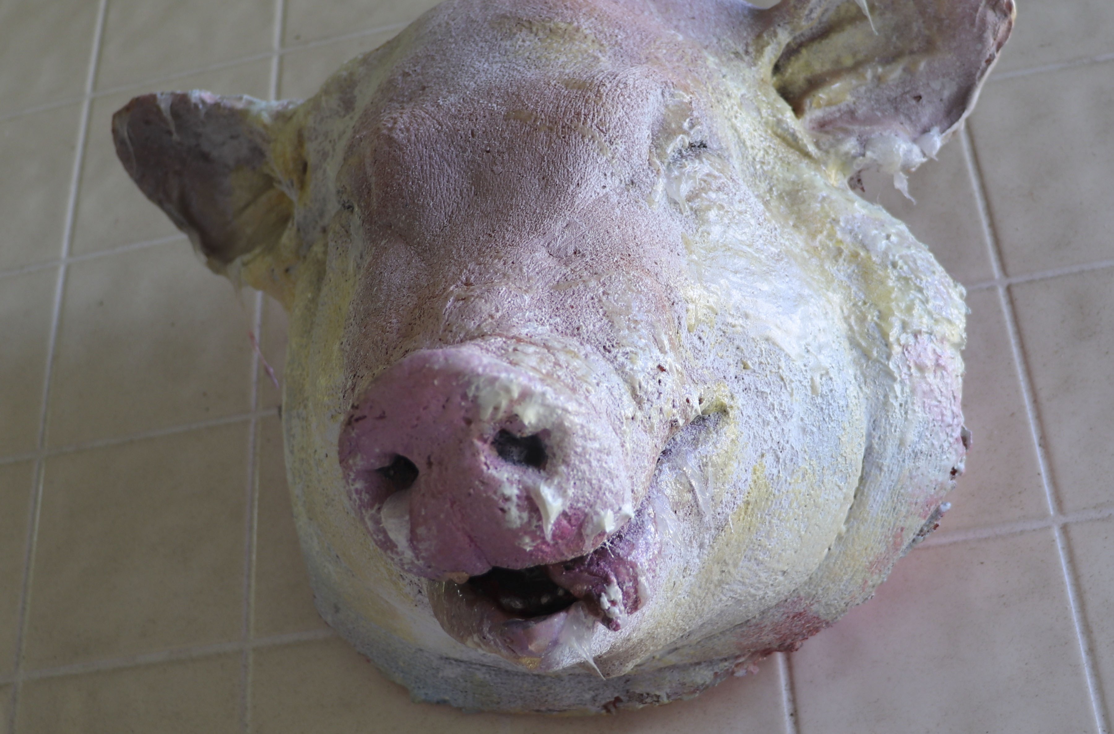 Pig head full size latex prop