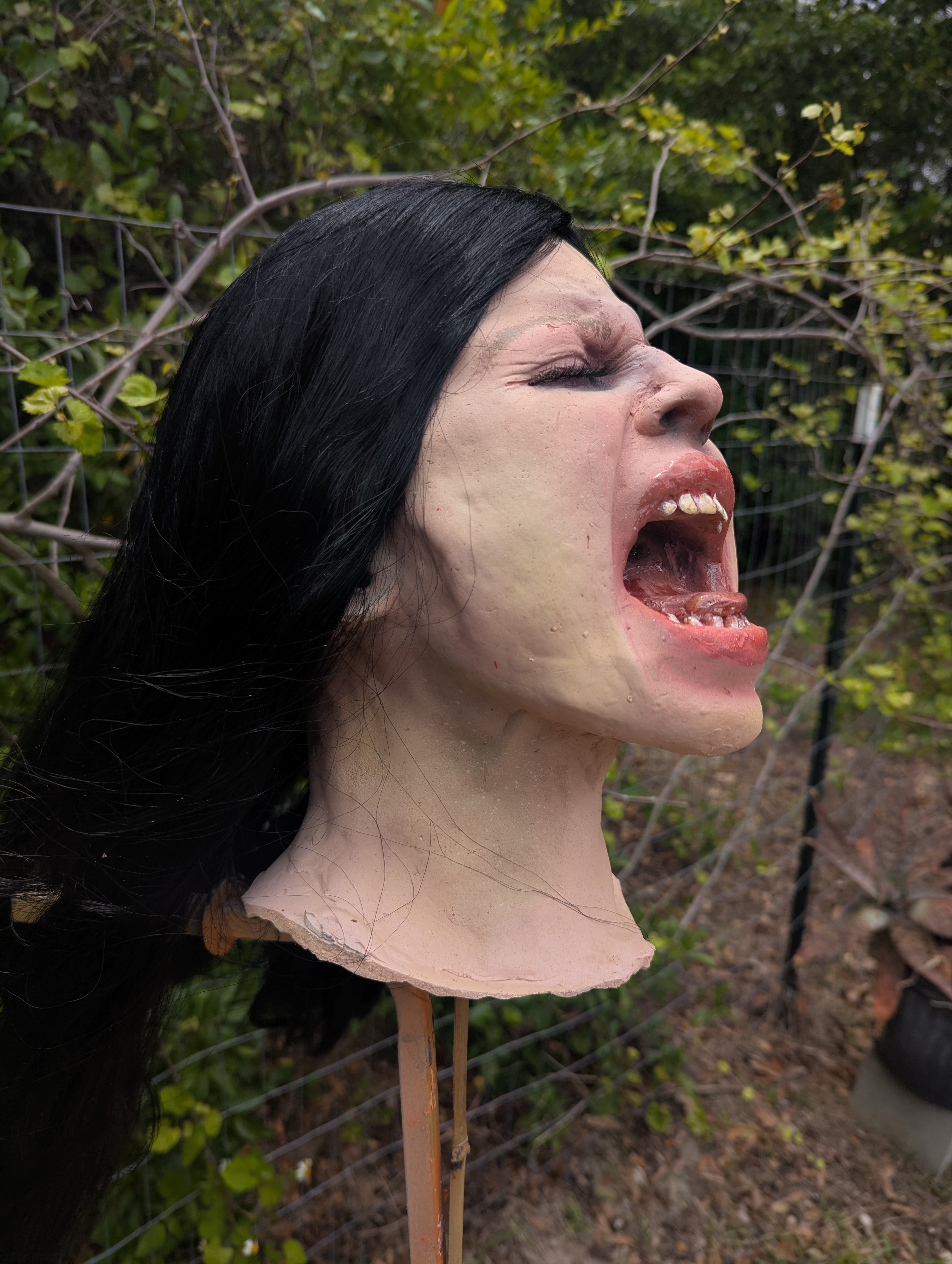 Mimi- Severed female screaming head
